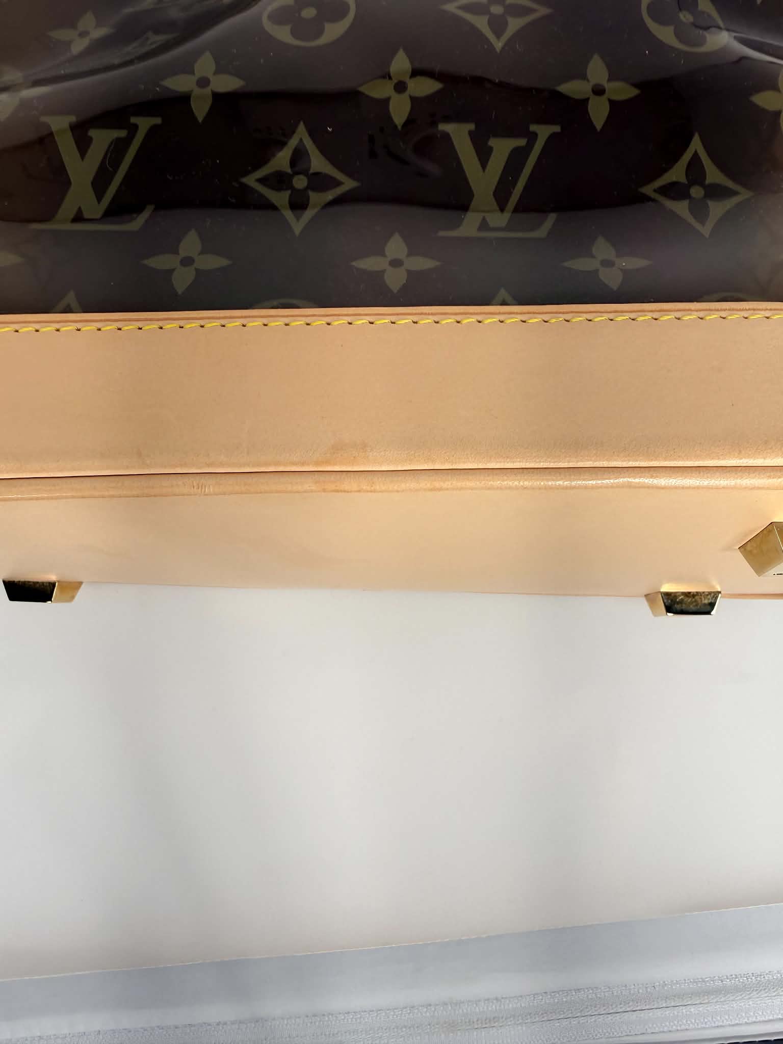 Louis Vuitton Vinyl Cabas Ambre MM