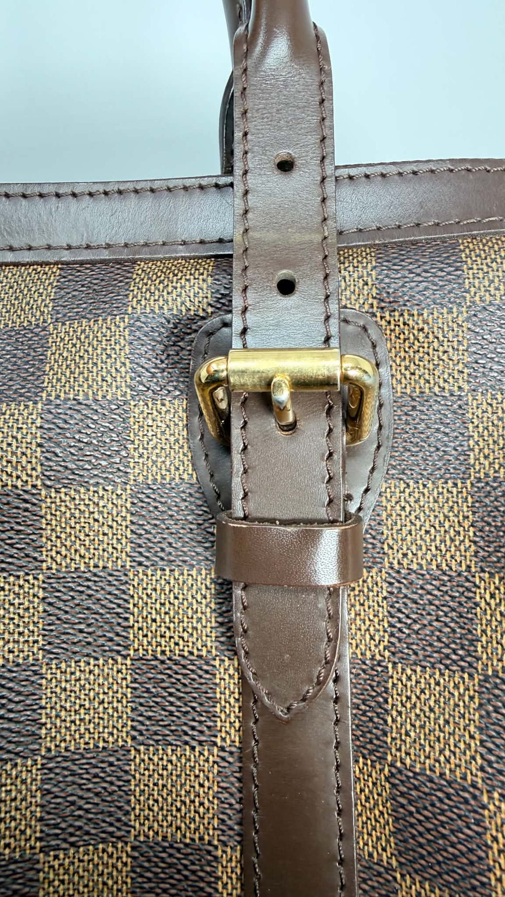 Louis Vuitton Damier Ebene Berkeley