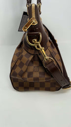 Louis Vuitton Damier Ebene Trevi