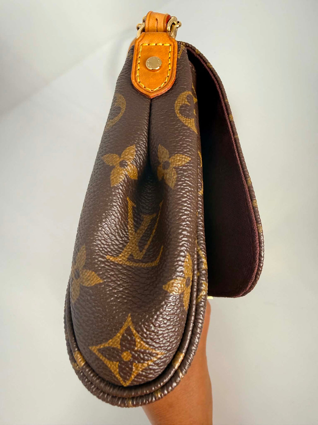 Louis Vuitton Favorite MM Monogram