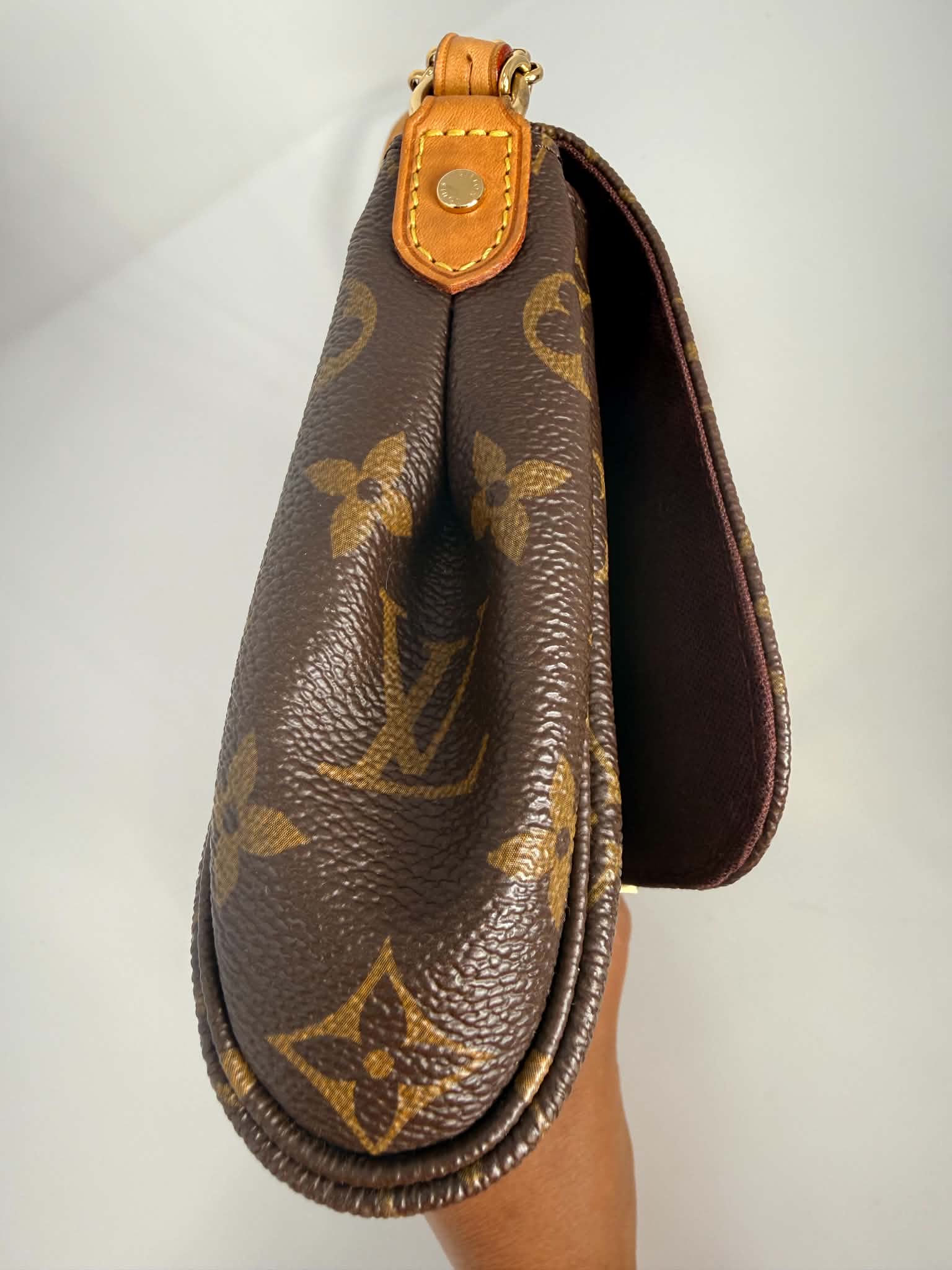 Louis Vuitton Favorite MM Monogram