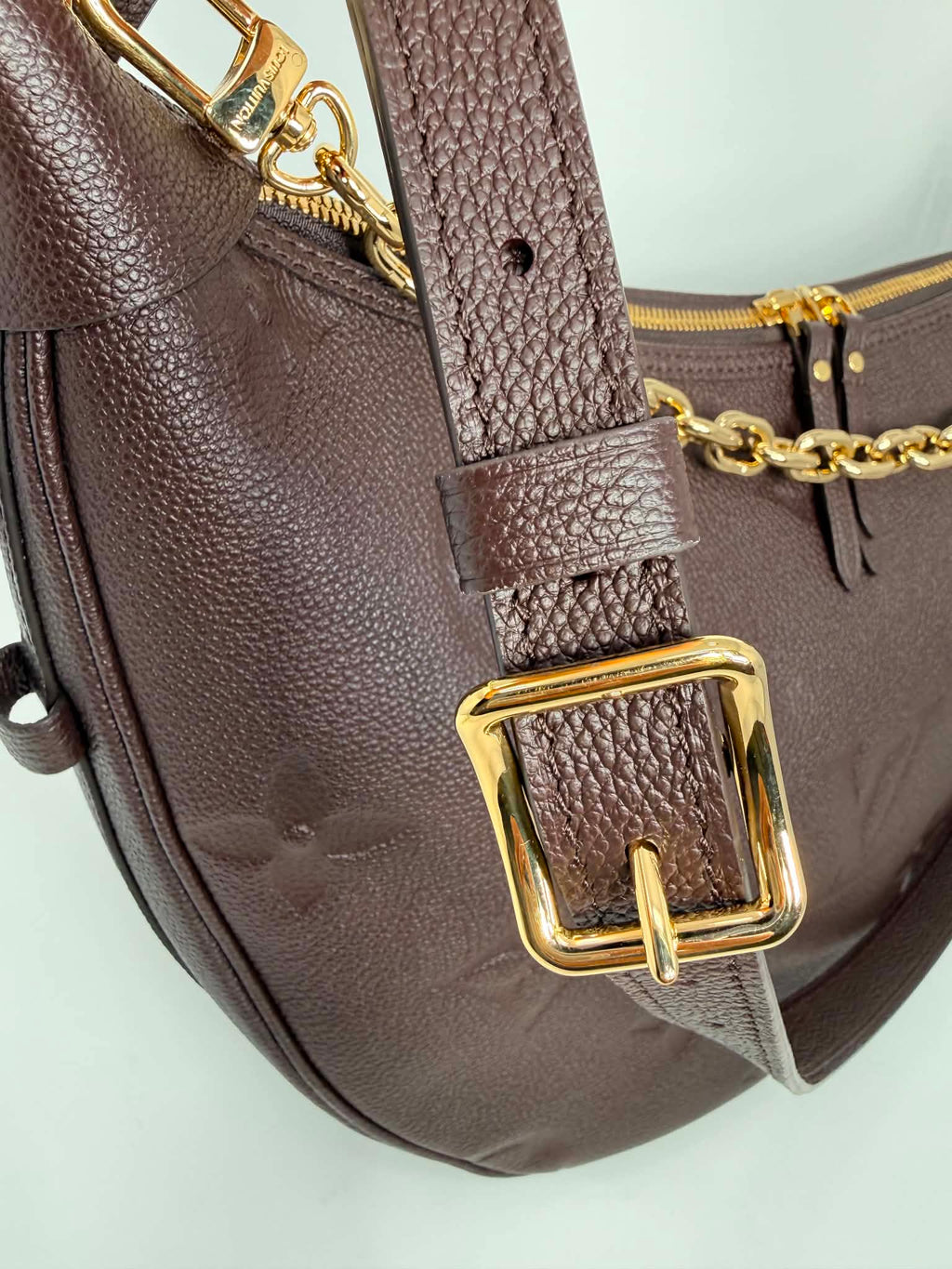 Louis Vuitton GM Loop Hobo
