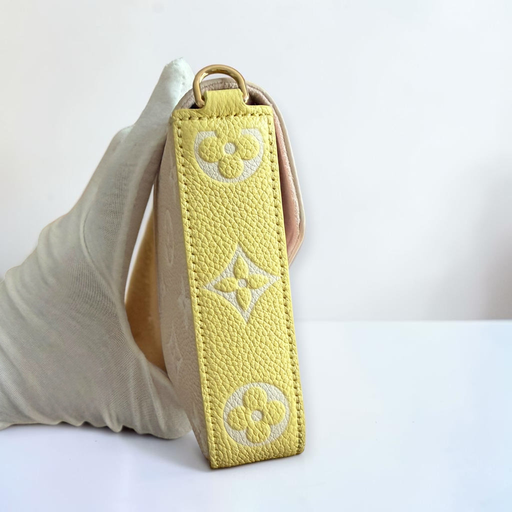 Louis Vuitton Felicie Spring in the City Limiter Edition