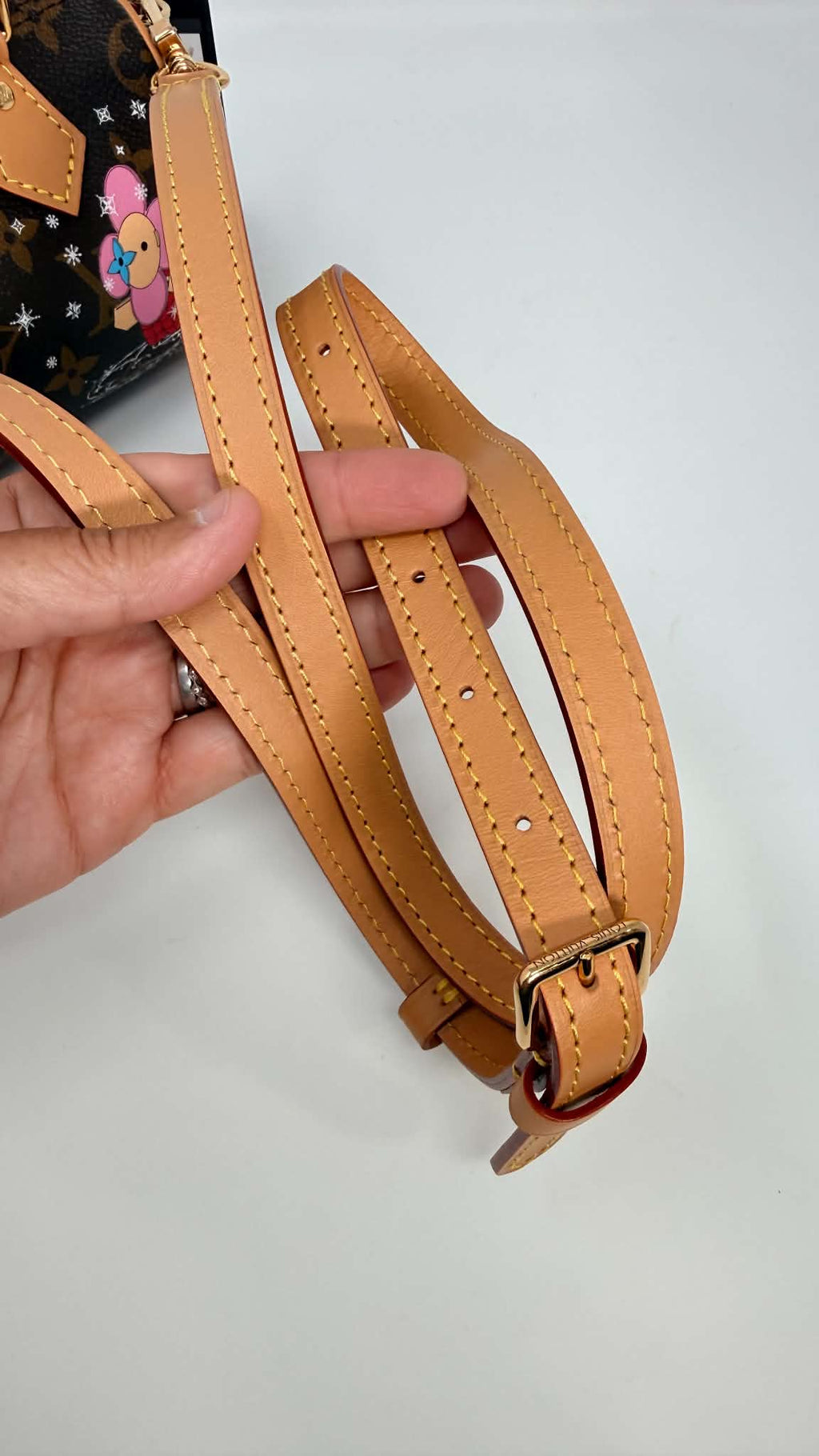 Louis Vuitton Speedy Nano Limited Edition