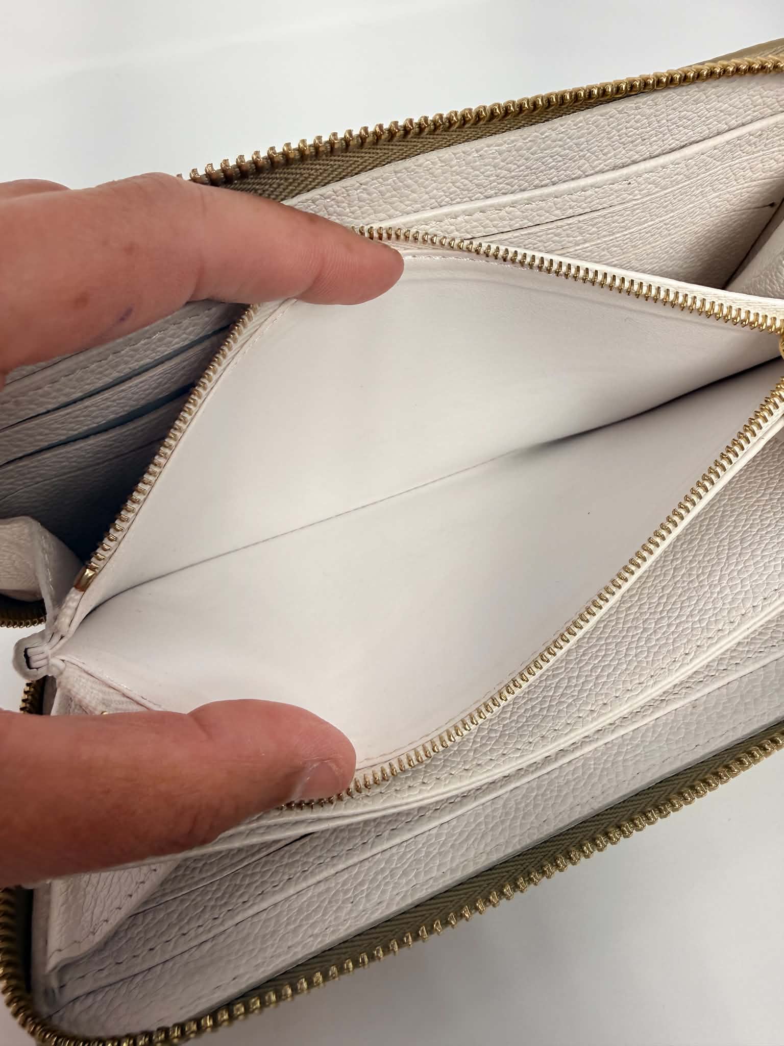 Louis Vuitton Spring in the City Long Zippy Wallet