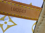 Louis Vuitton Vinyl Cabas Ambre MM