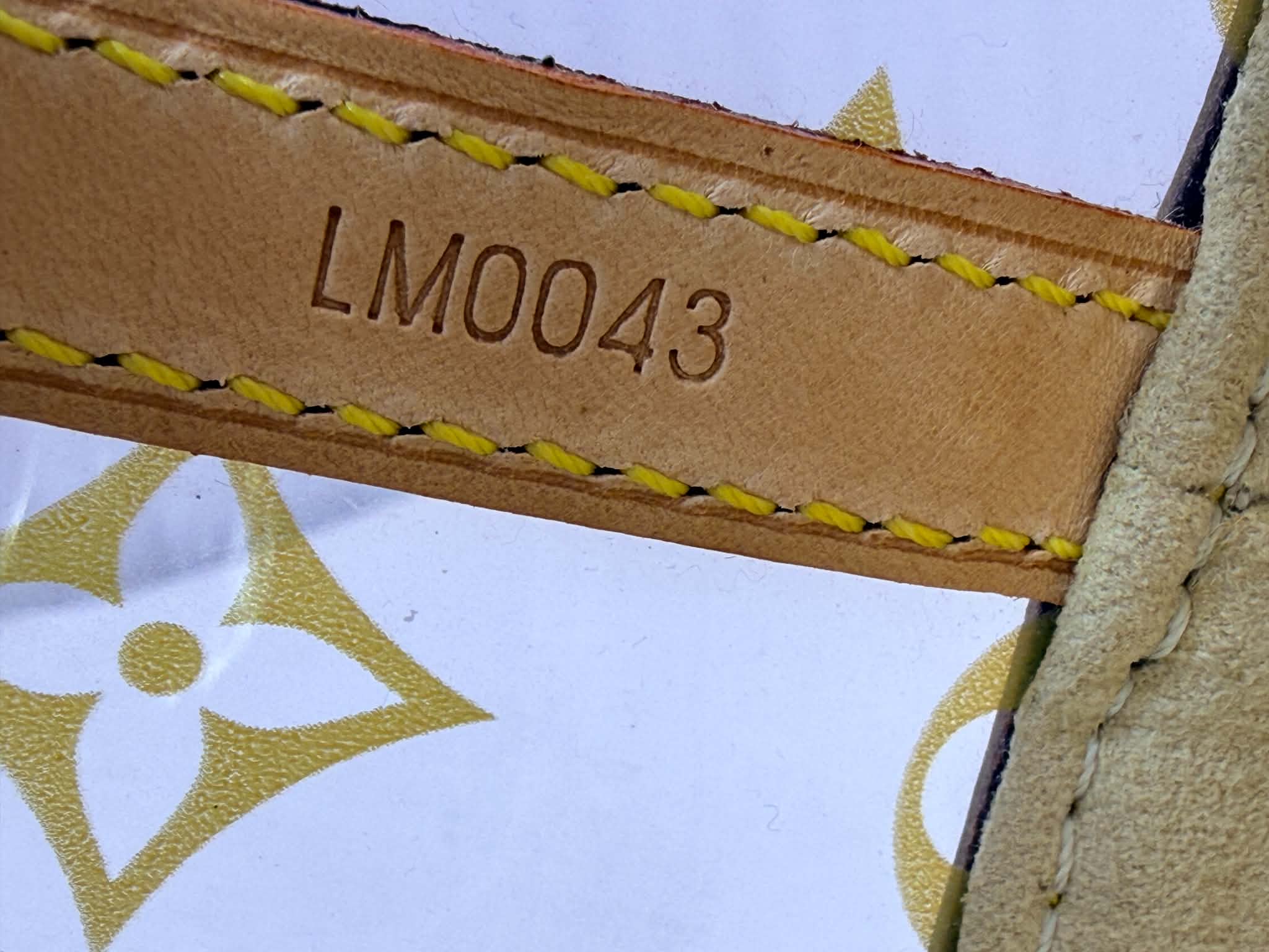 Louis Vuitton Vinyl Cabas Ambre MM