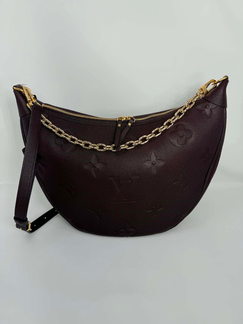 Louis Vuitton GM Loop Hobo