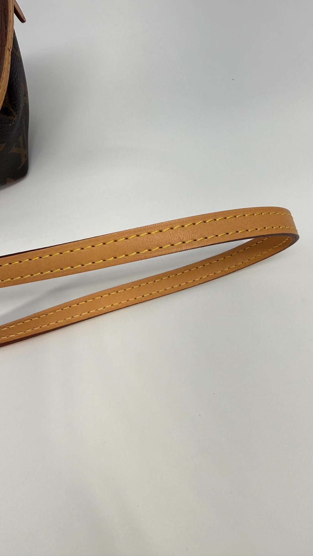 Louis Vuitton Monogram Turenne Nano