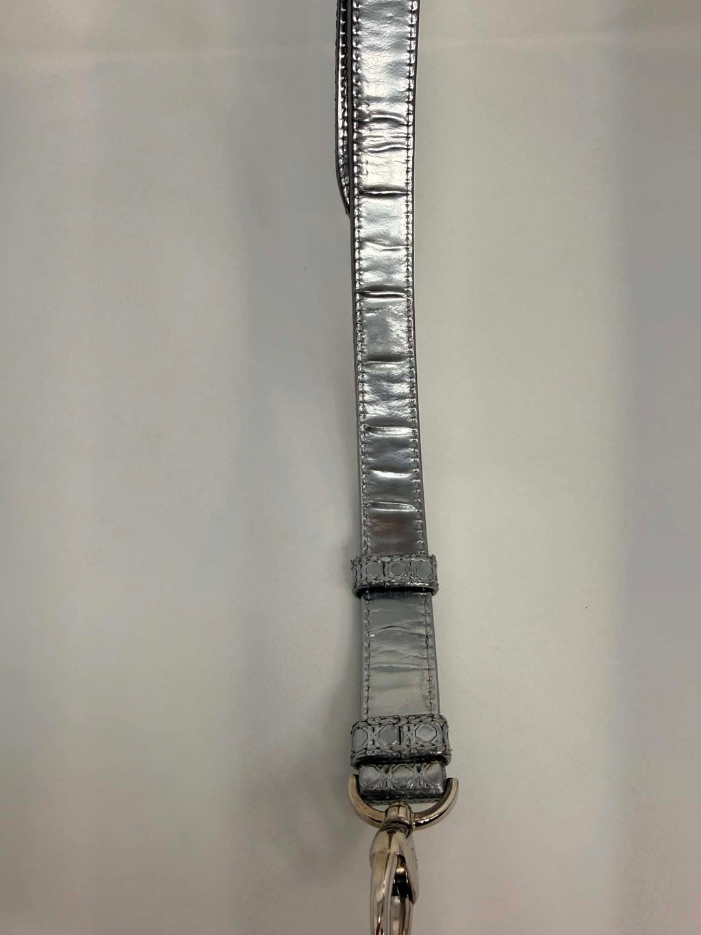 Dior Lady D Silver
