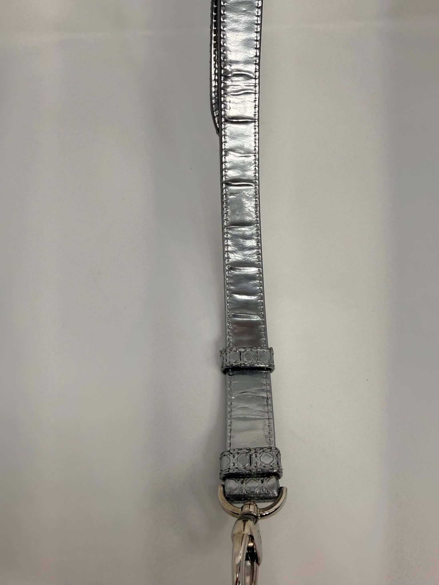 Dior Lady D Silver