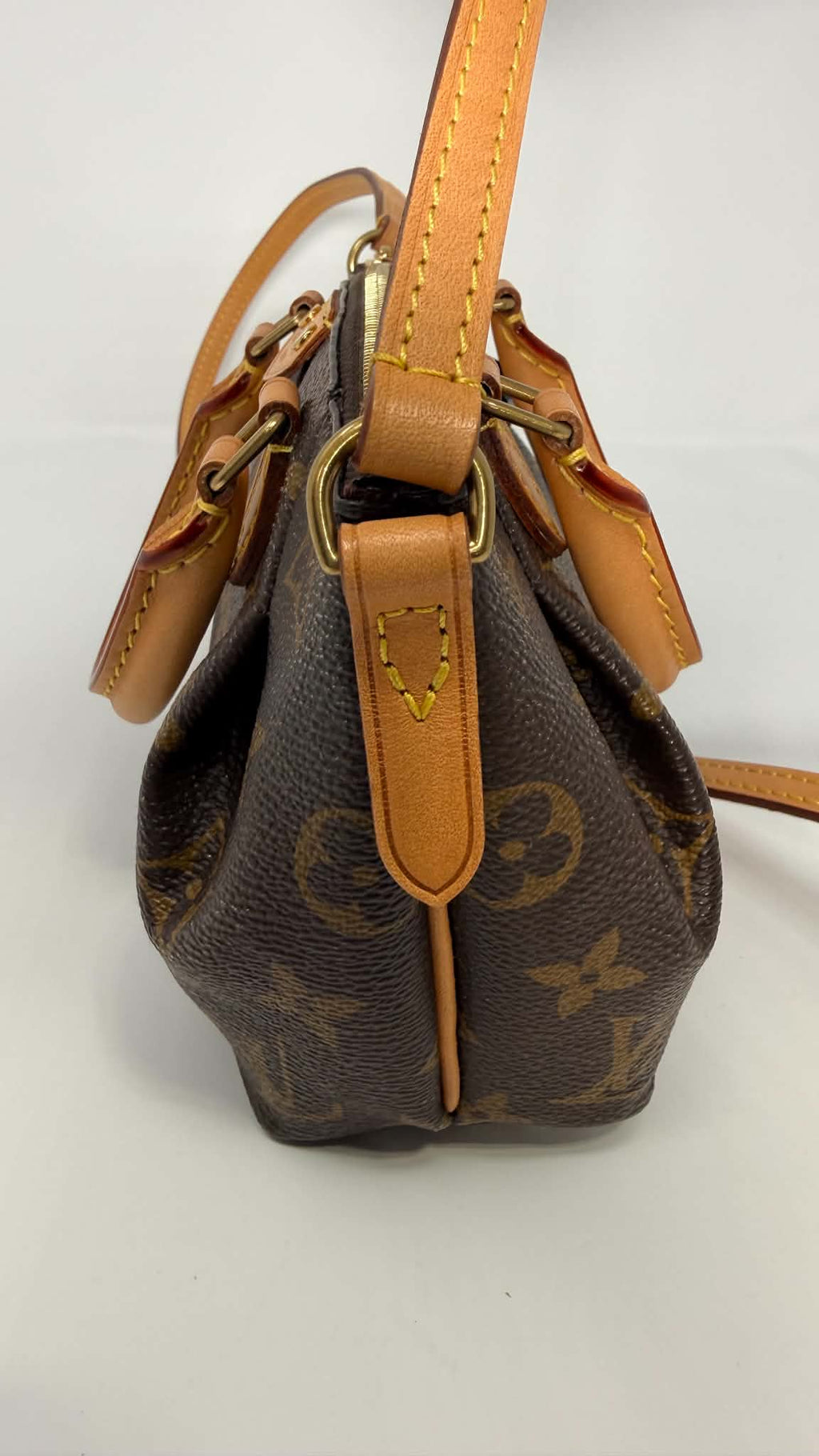 Louis Vuitton Monogram Turenne Nano