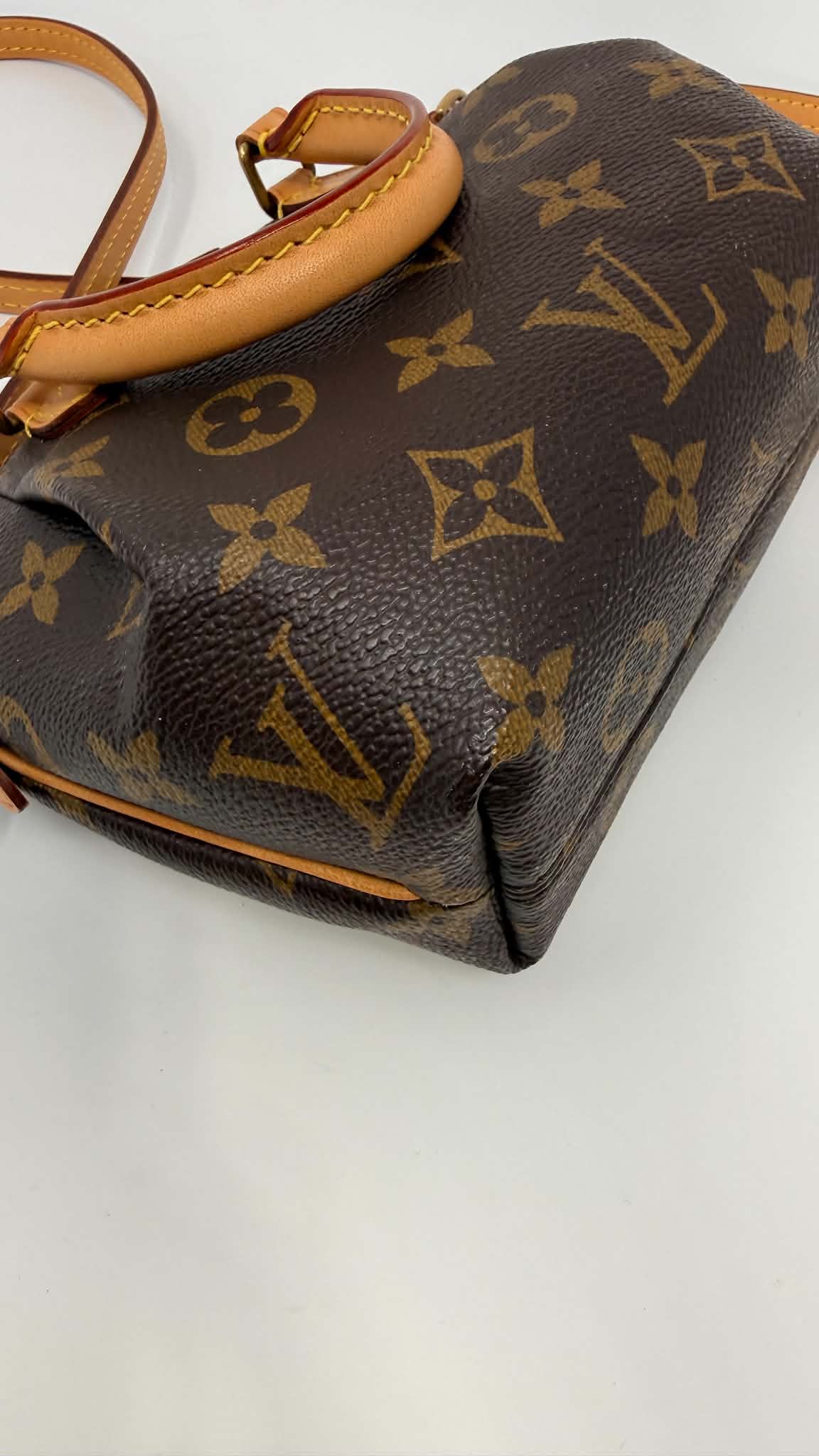 Louis Vuitton Monogram Turenne Nano