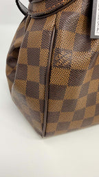 Louis Vuitton Damier Ebene Trevi
