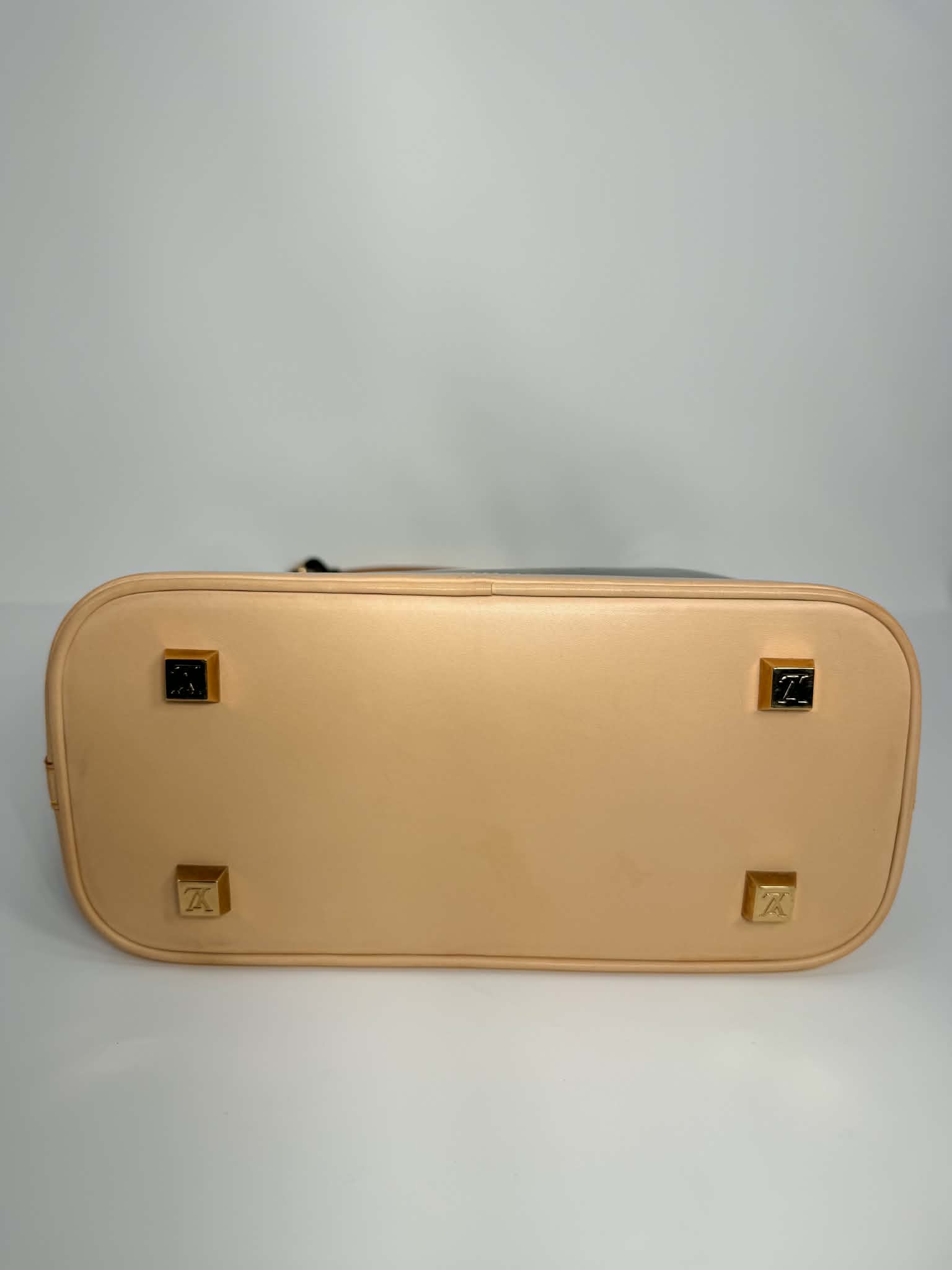 Louis Vuitton Vinyl Cabas Ambre MM
