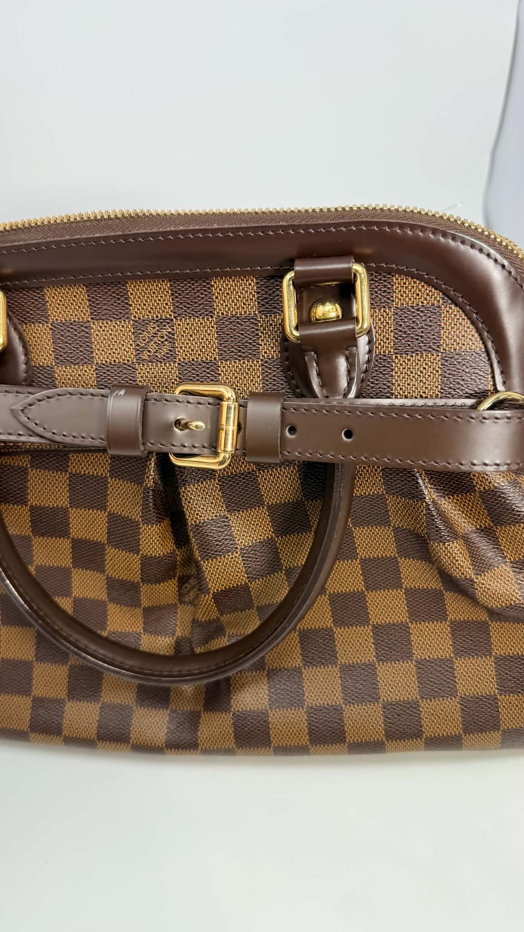 Louis Vuitton Damier Ebene Trevi