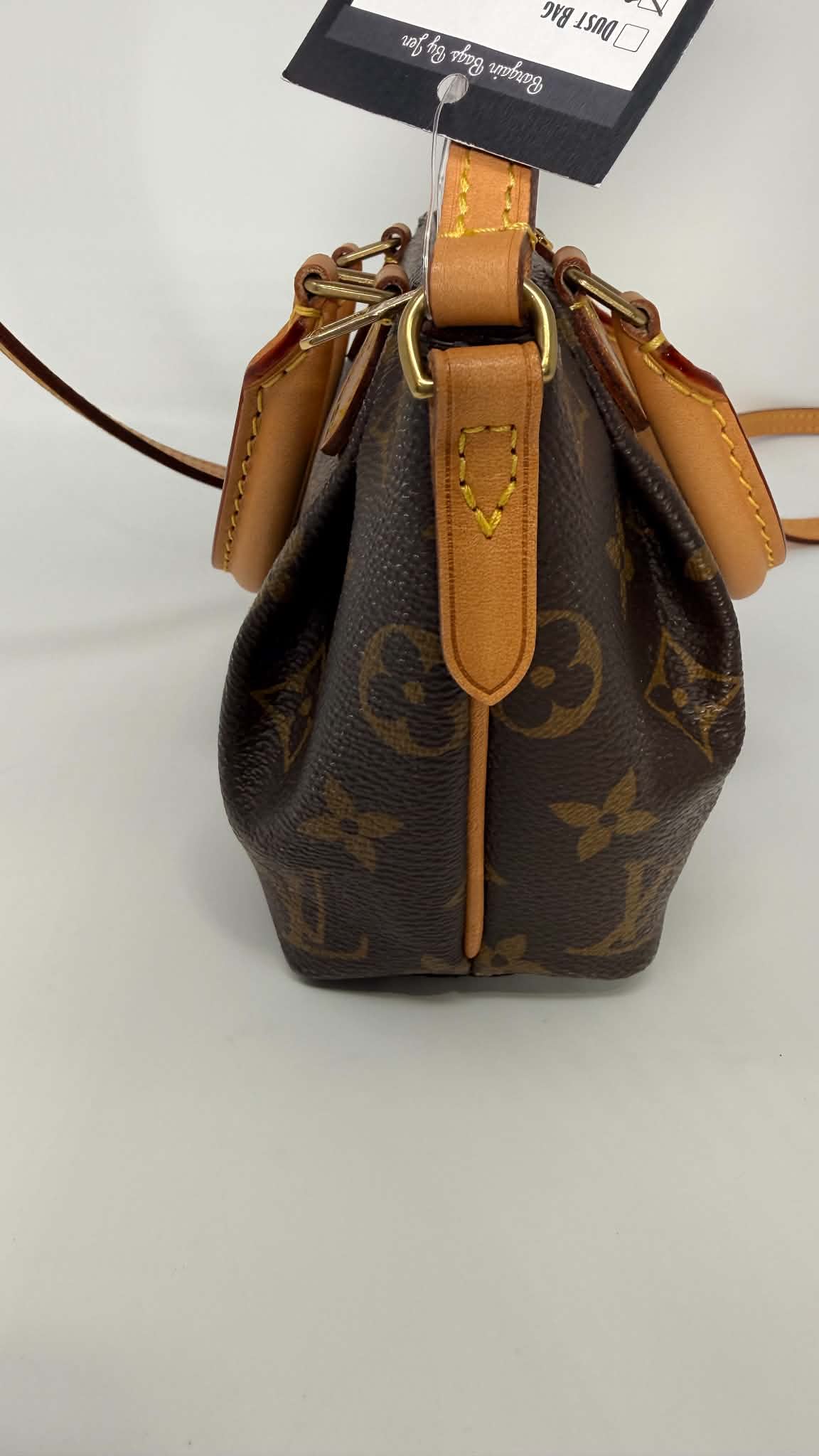 Louis Vuitton Monogram Turenne Nano