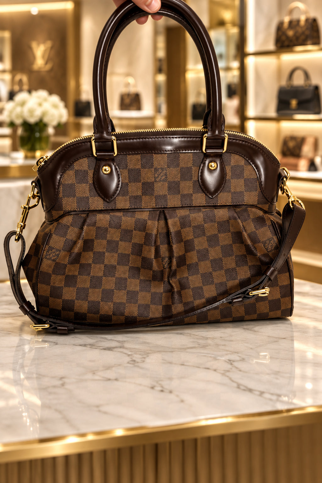 Louis Vuitton Damier Ebene Trevi
