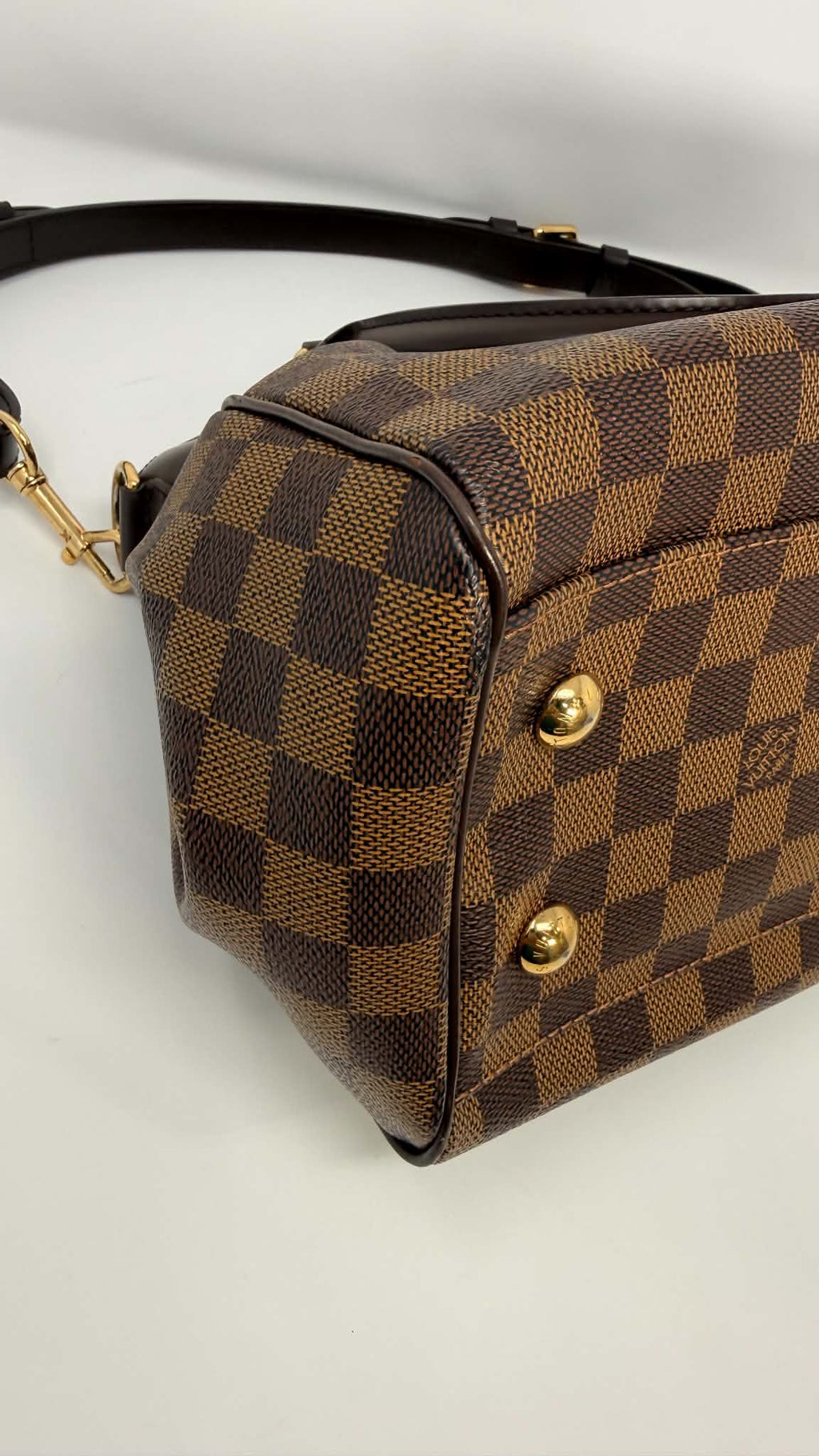 Louis Vuitton Damier Ebene Trevi