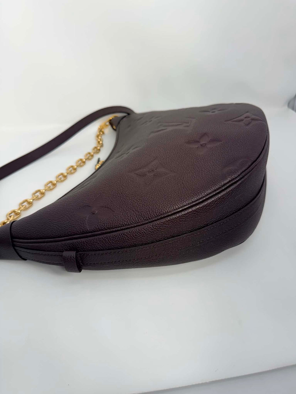 Louis Vuitton GM Loop Hobo