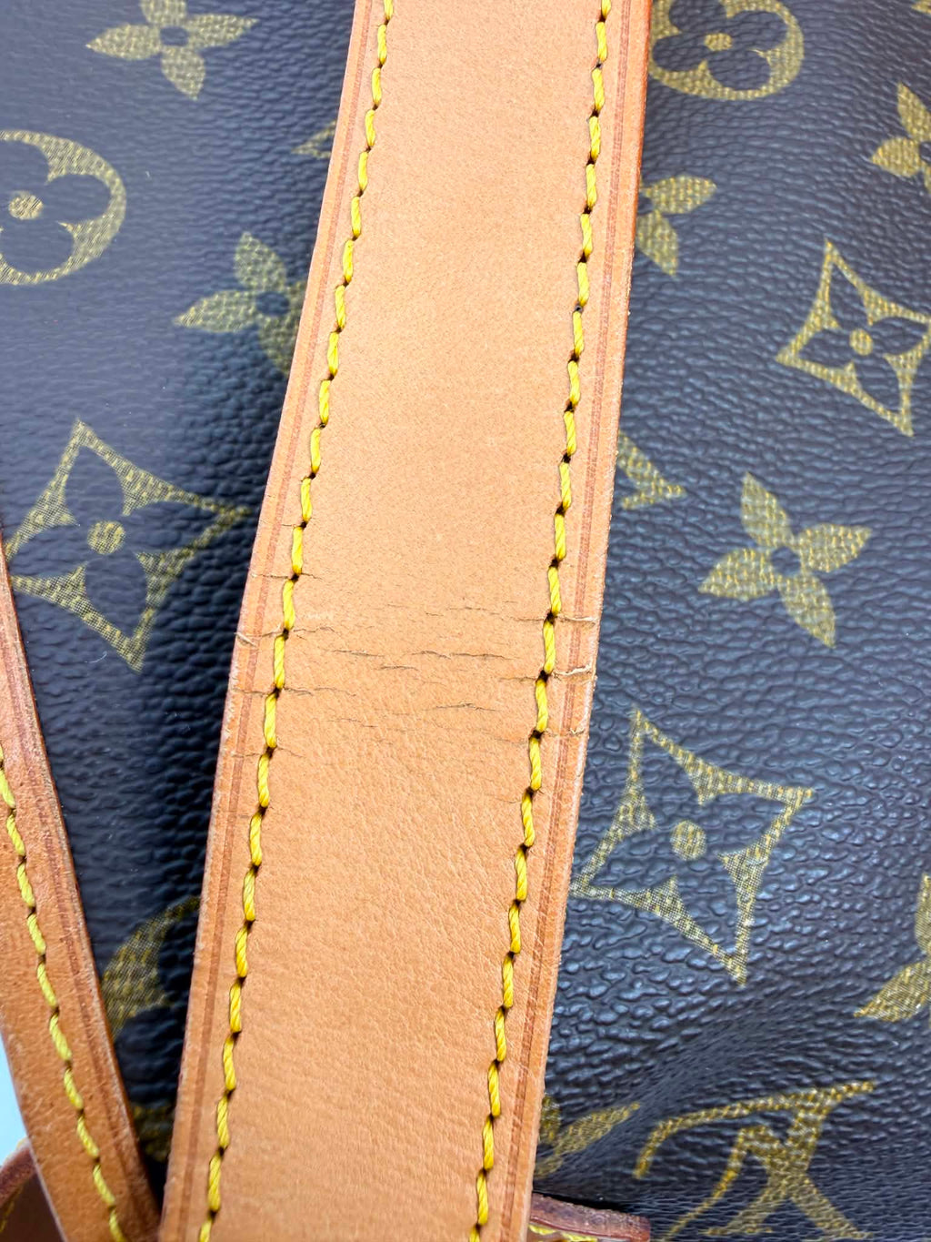 Louis Vuitton Saumar 30 in Monogram