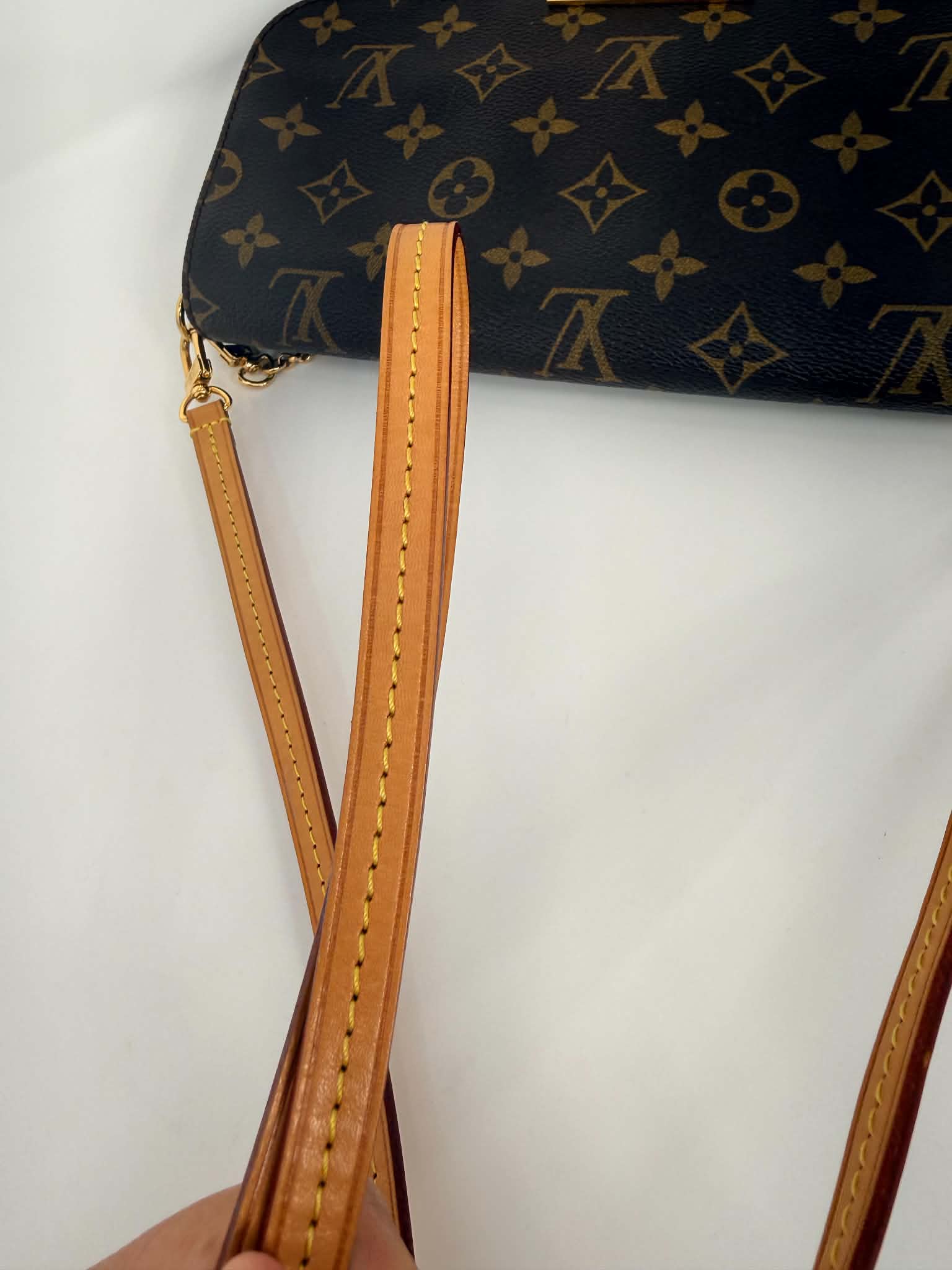 Louis Vuitton Favorite MM Monogram