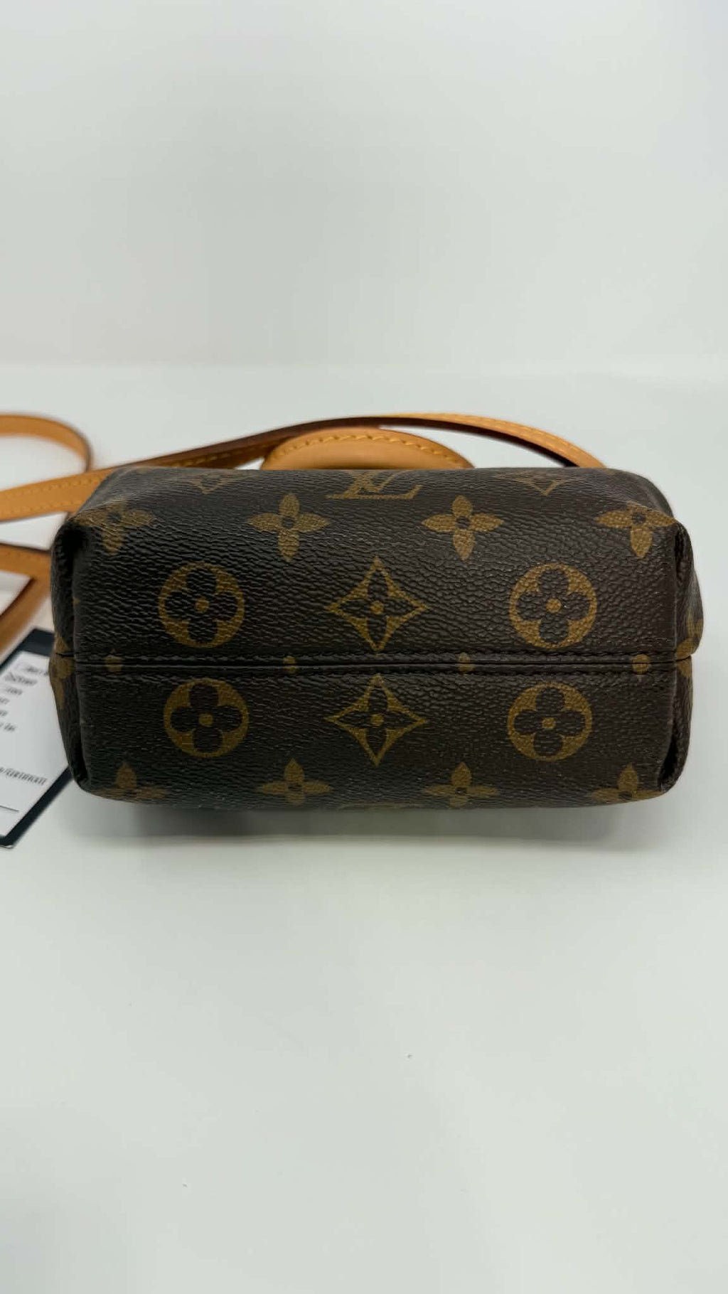 Louis Vuitton Monogram Turenne Nano