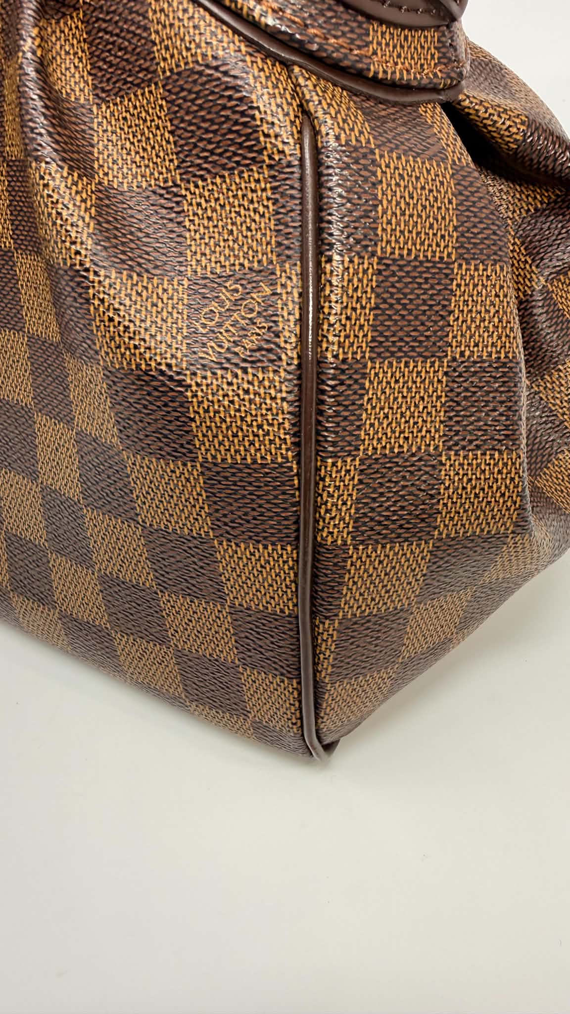 Louis Vuitton Damier Ebene Trevi