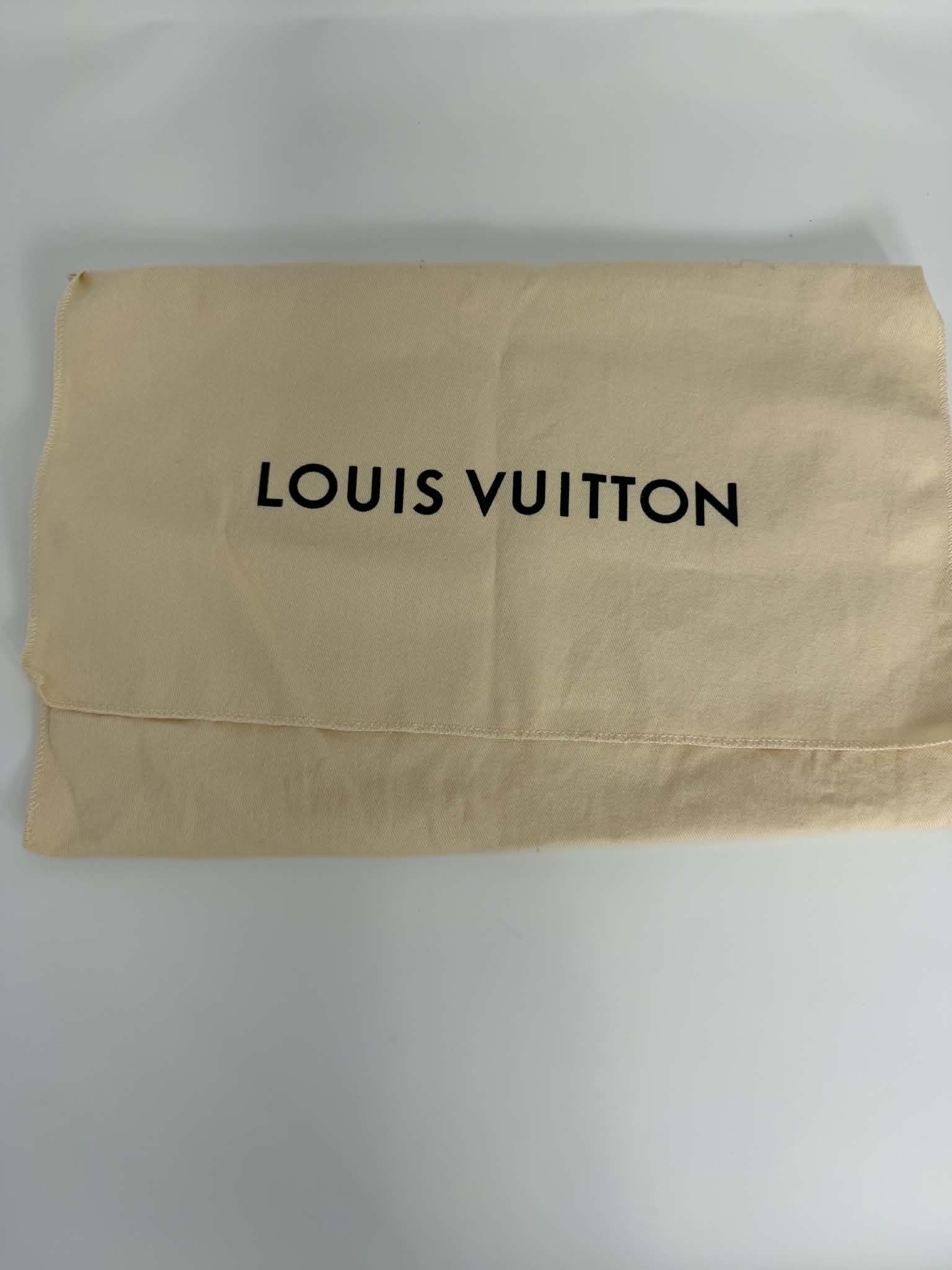 Louis Vuitton Monogram Pochette Metis