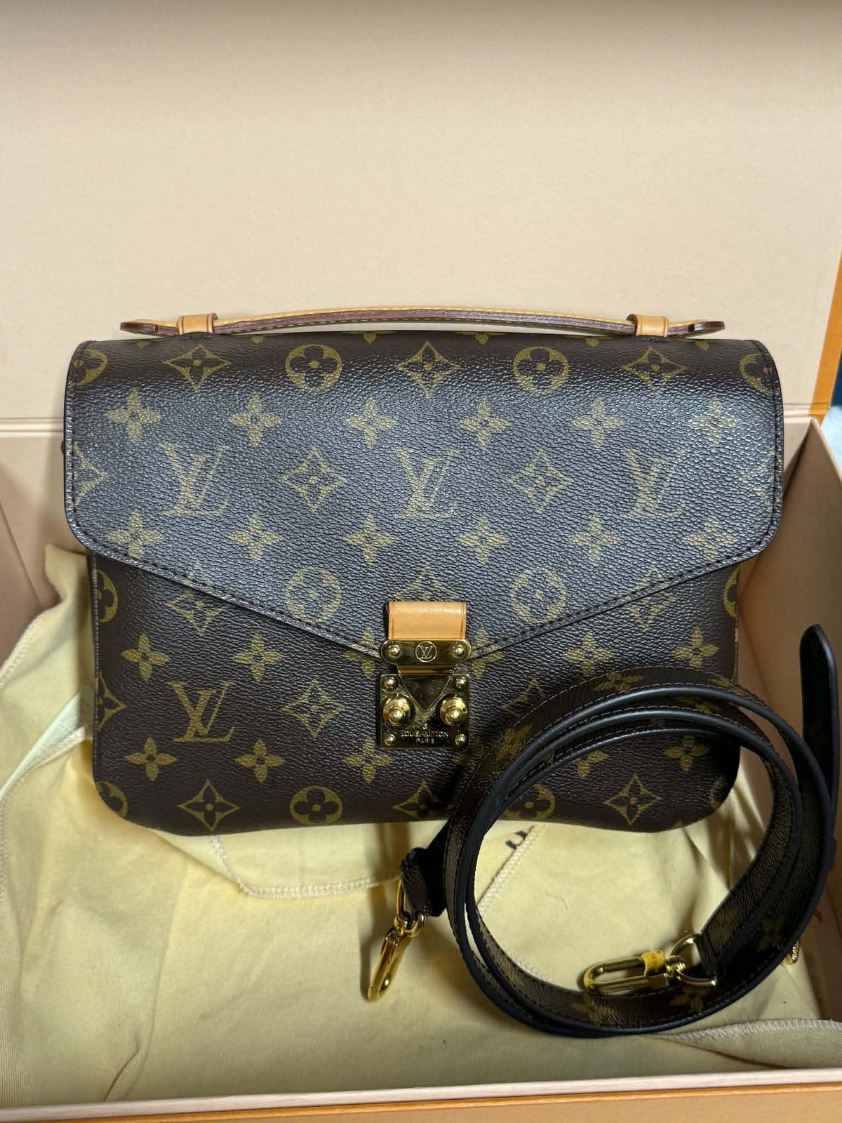 Louis Vuitton Monogram Métis