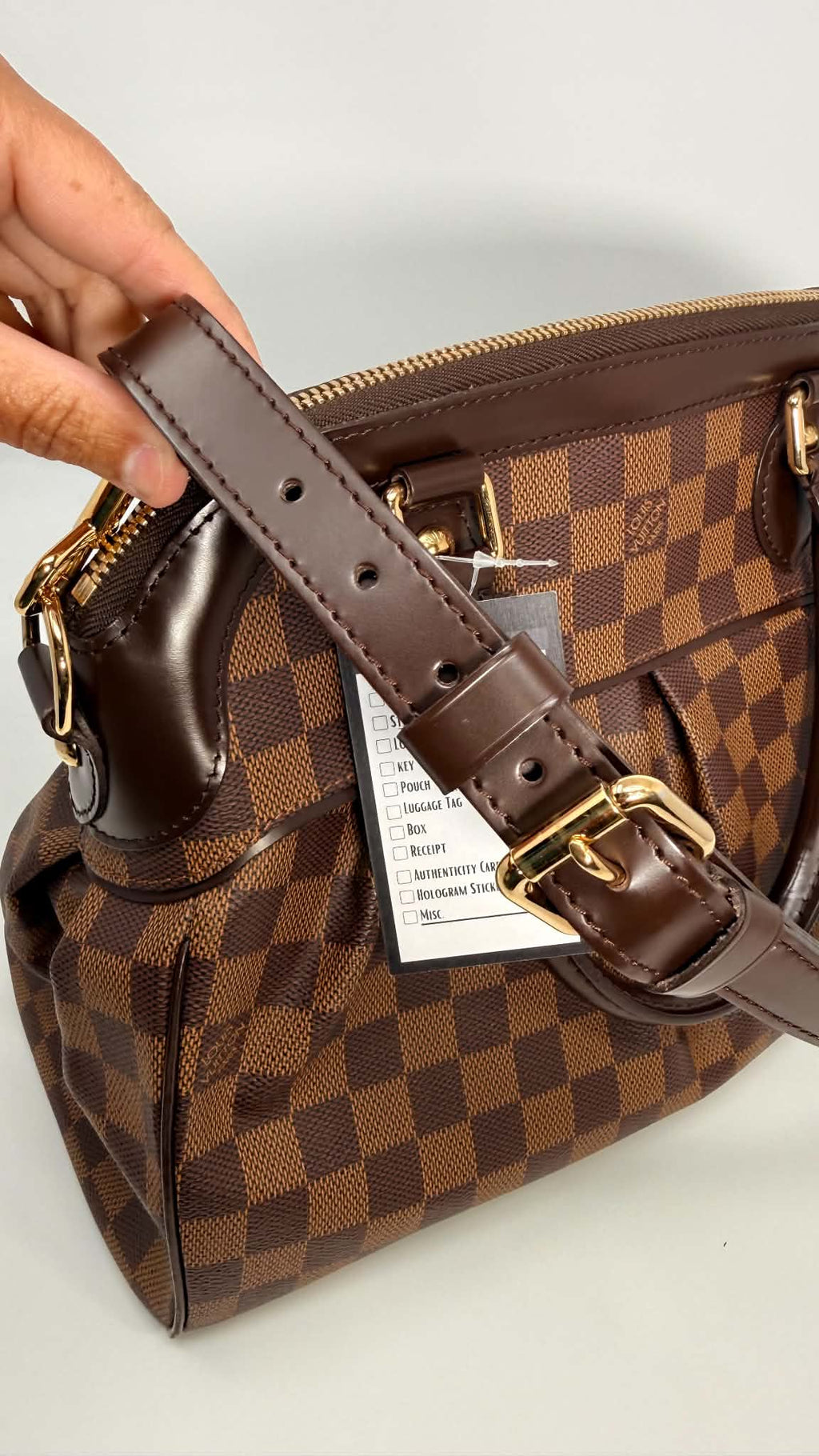 Louis Vuitton Damier Ebene Trevi