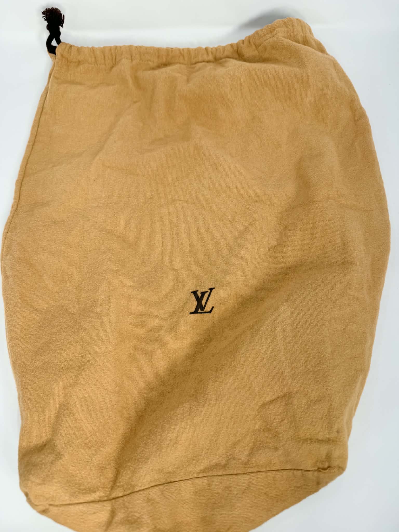 Louis Vuitton Vinyl Cabas Ambre MM
