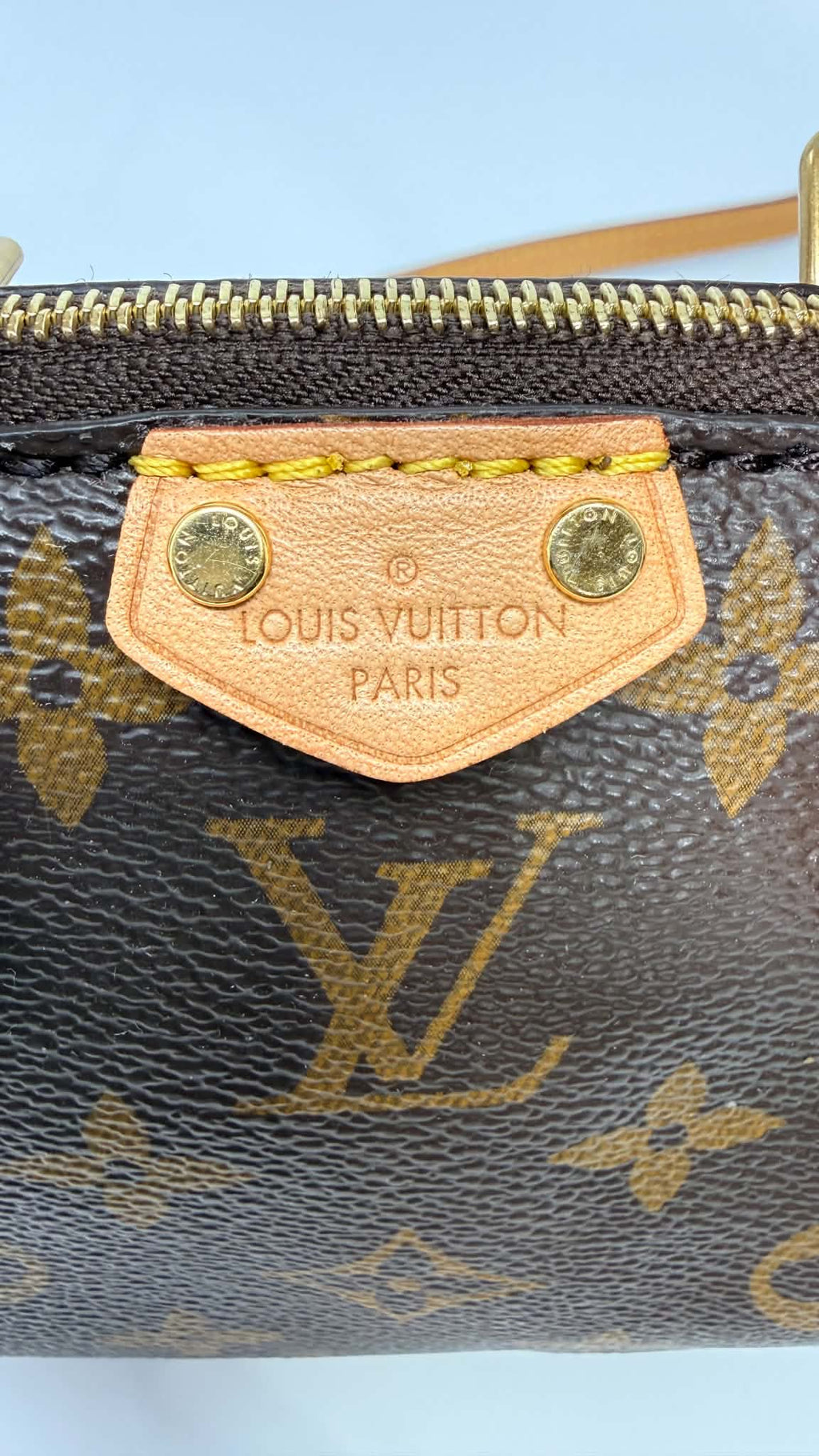 Louis Vuitton Monogram Turenne Nano
