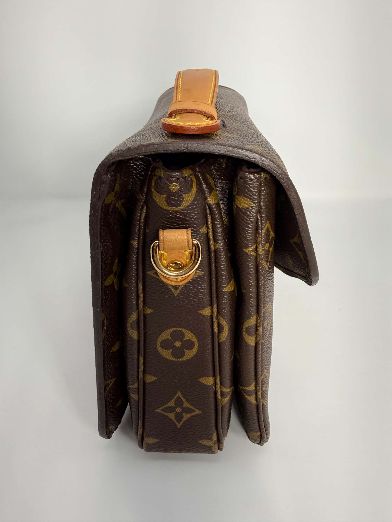 Louis Vuitton Monogram Pochette Metis