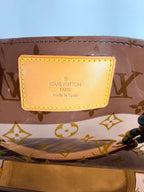Louis Vuitton Vinyl Cabas Ambre MM
