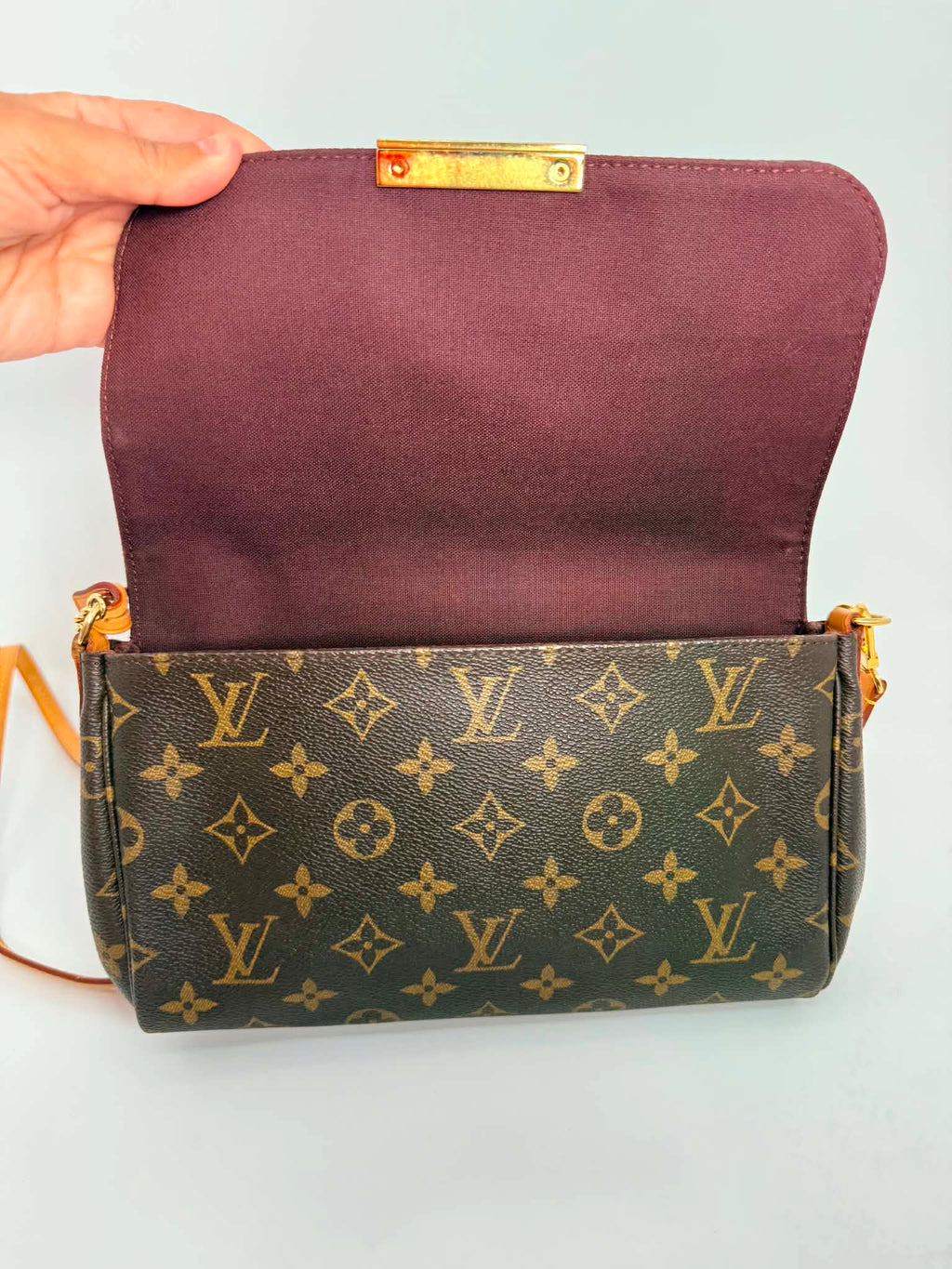 Louis Vuitton Favorite MM Monogram