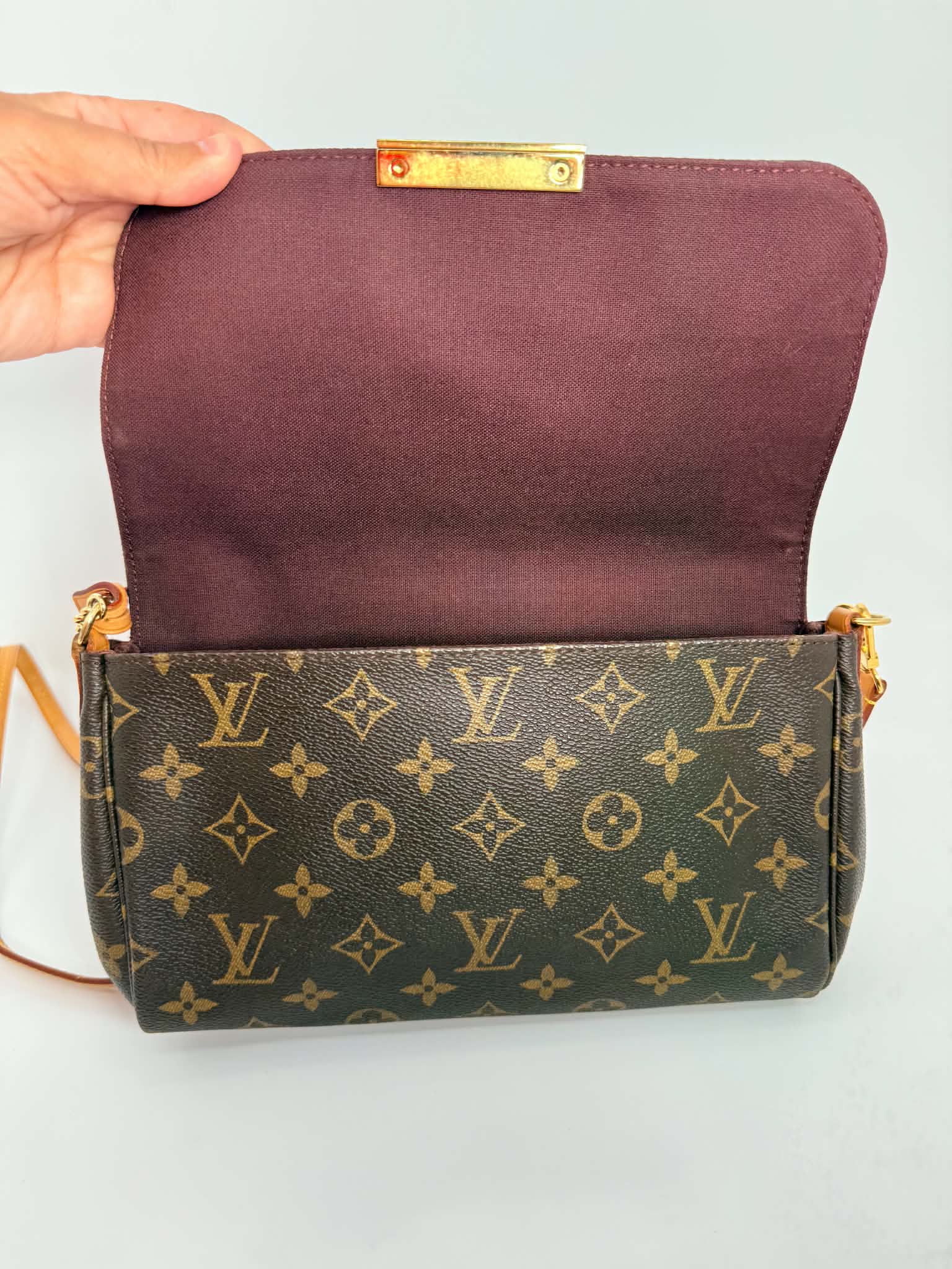 Louis Vuitton Favorite MM Monogram
