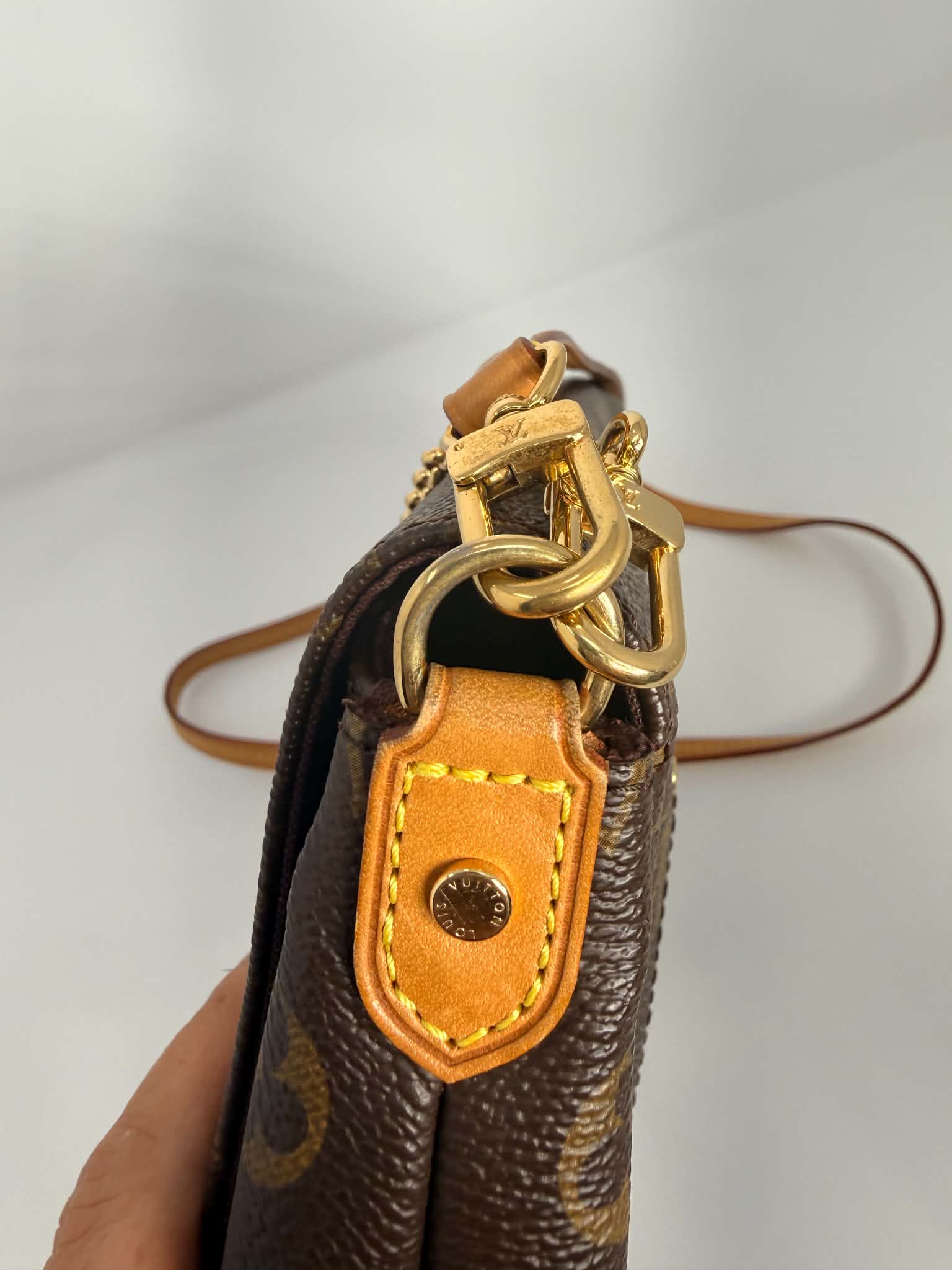 Louis Vuitton Favorite MM Monogram