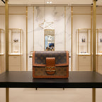 Louis Vuitton Dauphine MM