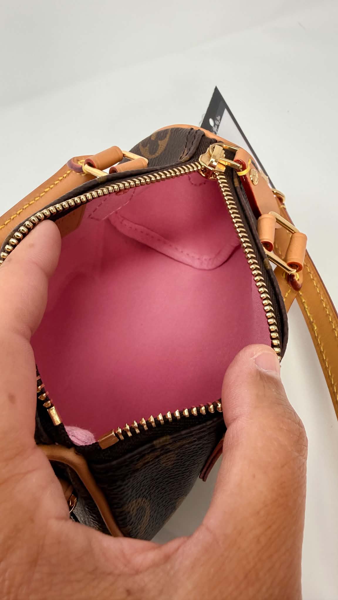Louis Vuitton Speedy Nano Limited Edition