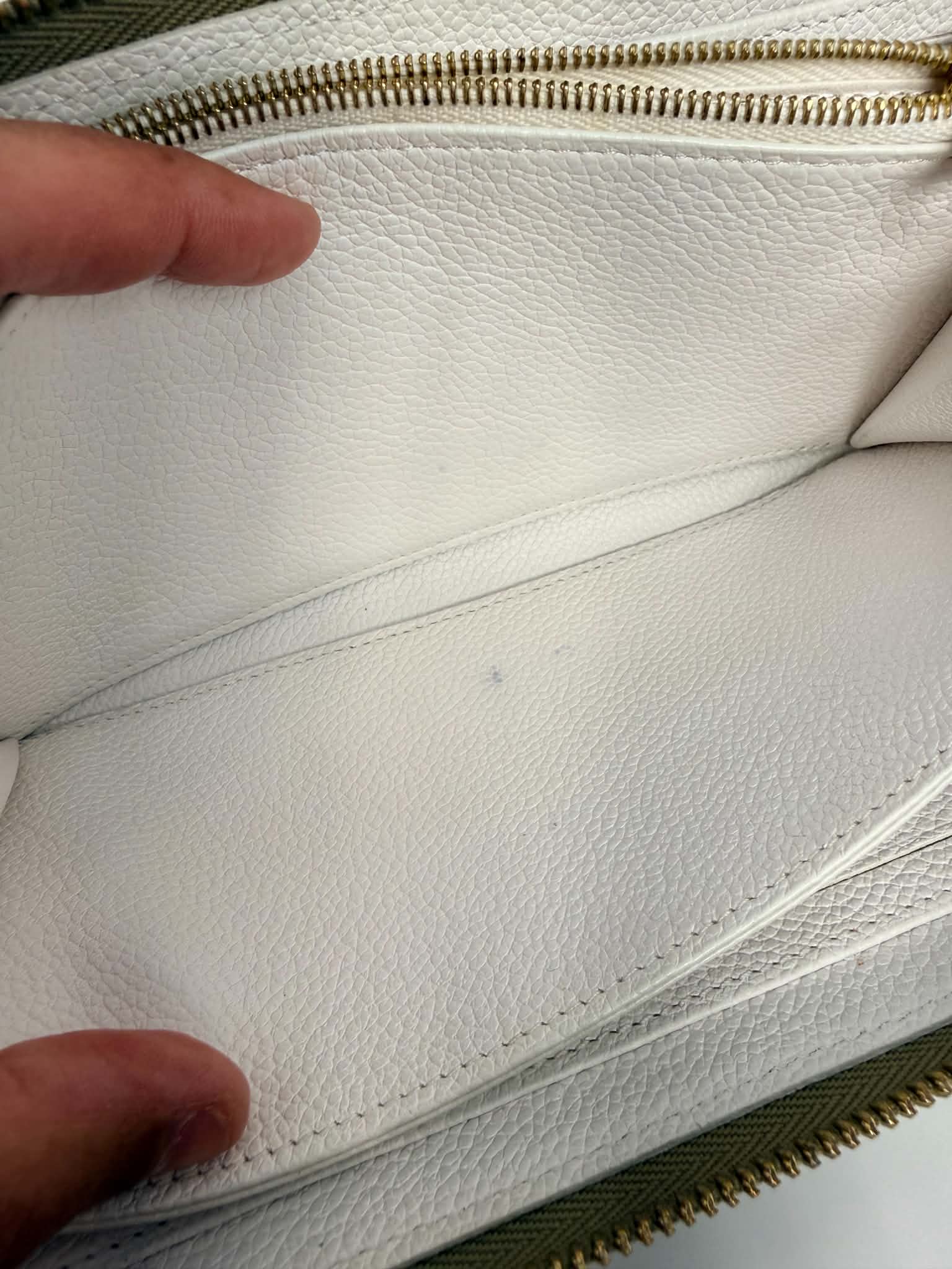 Louis Vuitton Spring in the City Long Zippy Wallet