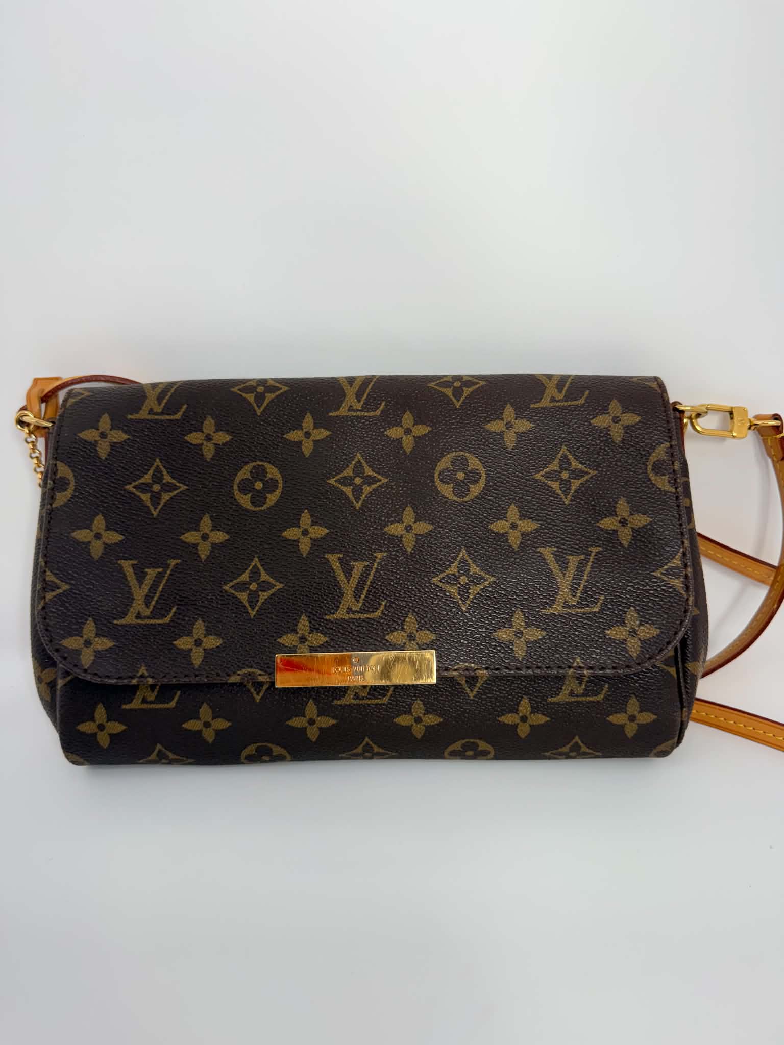 Louis Vuitton Favorite MM Monogram