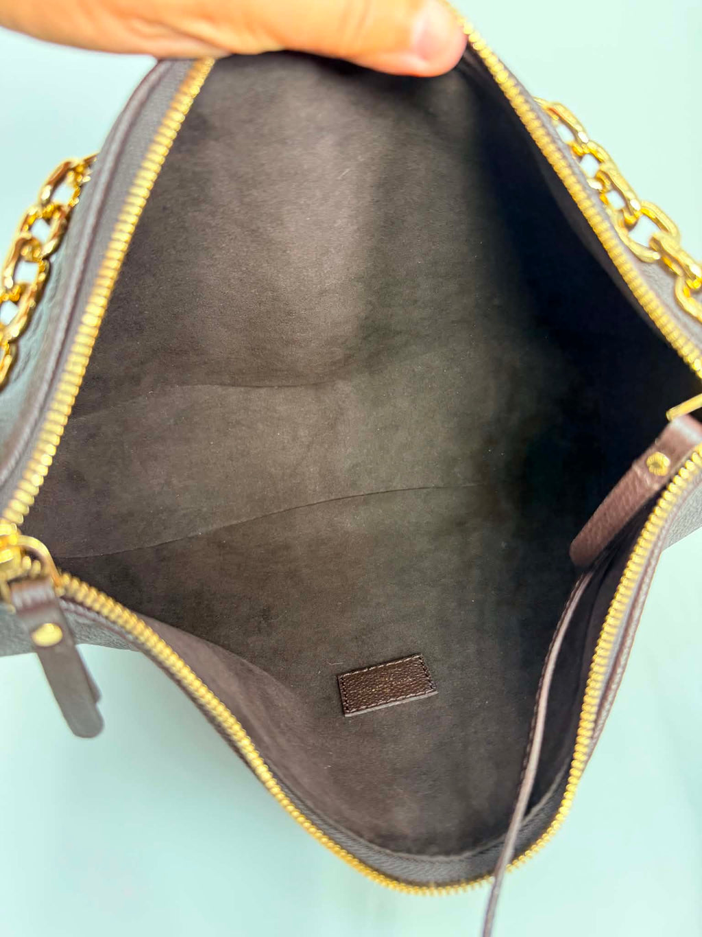 Louis Vuitton GM Loop Hobo