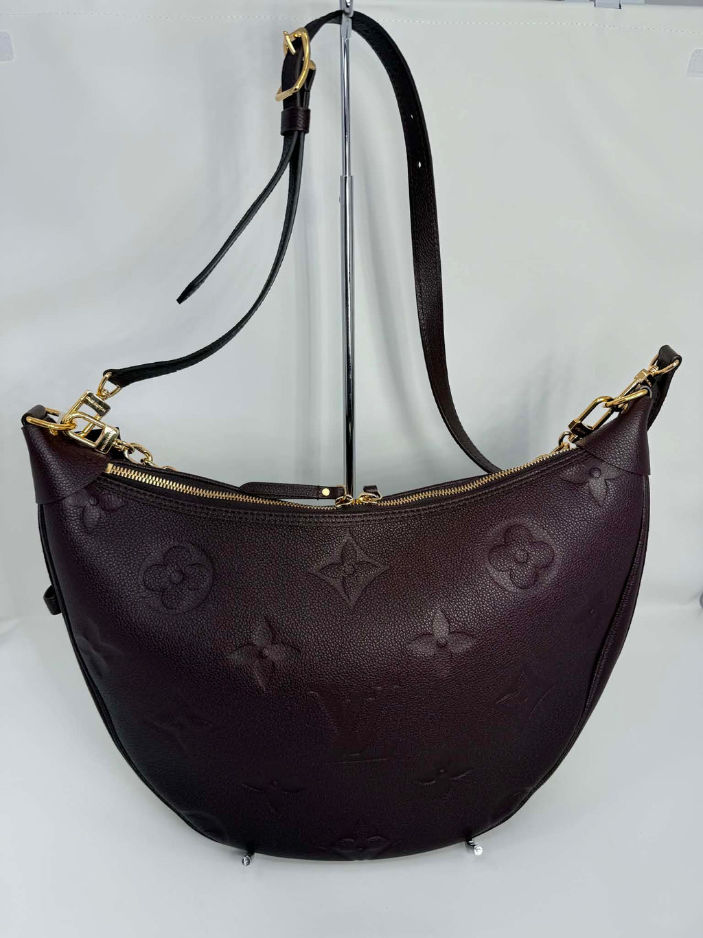 Louis Vuitton GM Loop Hobo