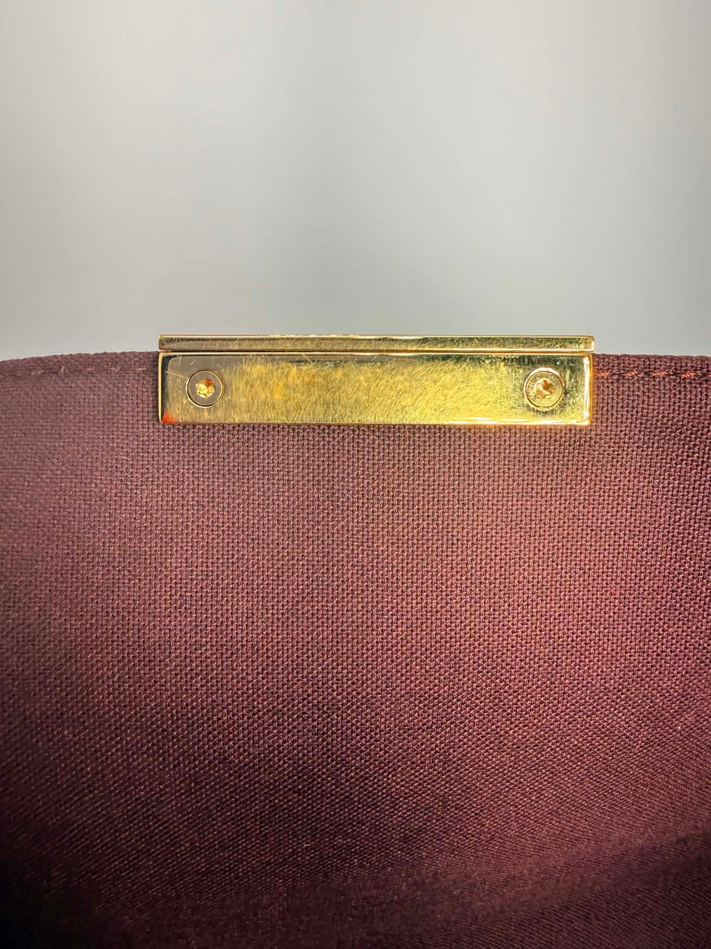 Louis Vuitton Favorite MM Monogram