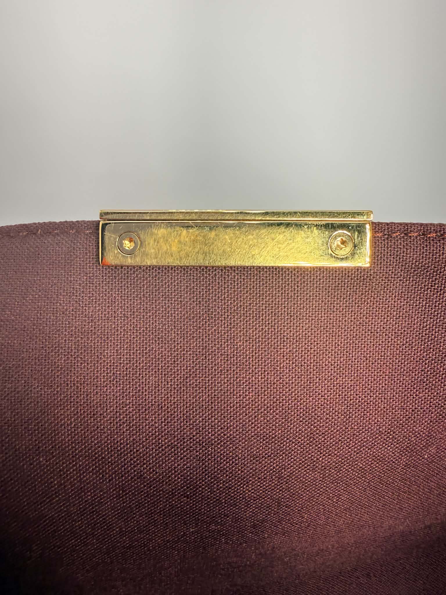 Louis Vuitton Favorite MM Monogram