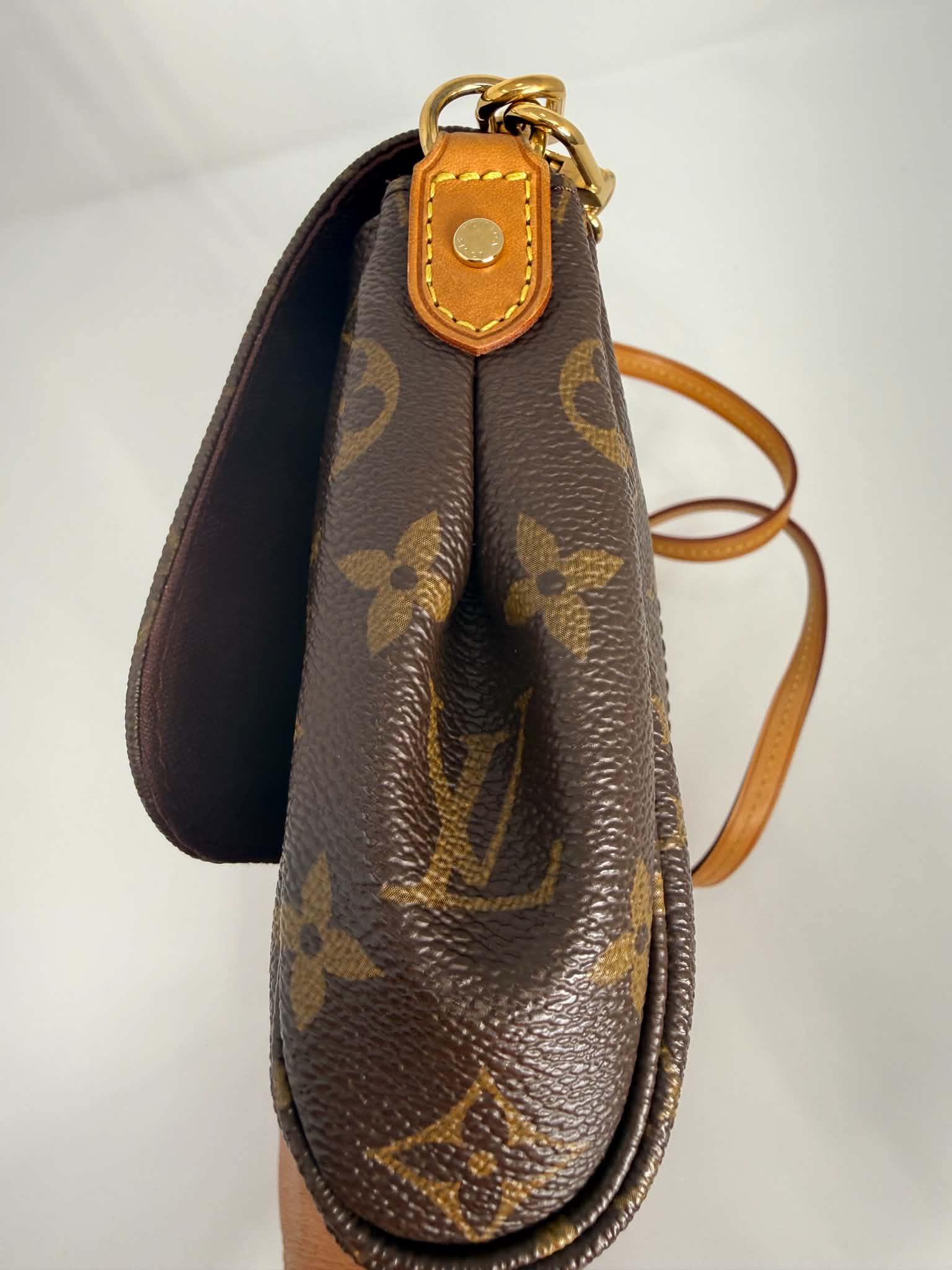 Louis Vuitton Favorite MM Monogram