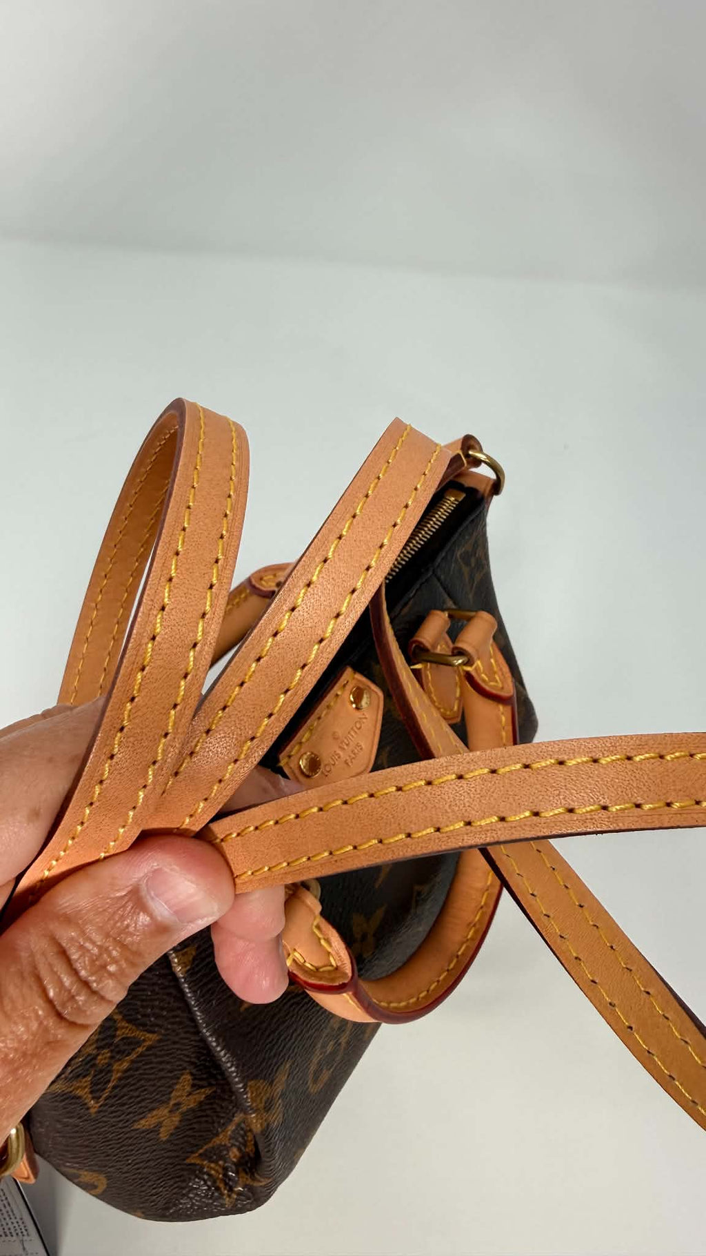 Louis Vuitton Monogram Turenne Nano