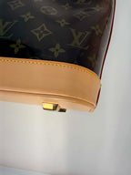 Louis Vuitton Vinyl Cabas Ambre MM