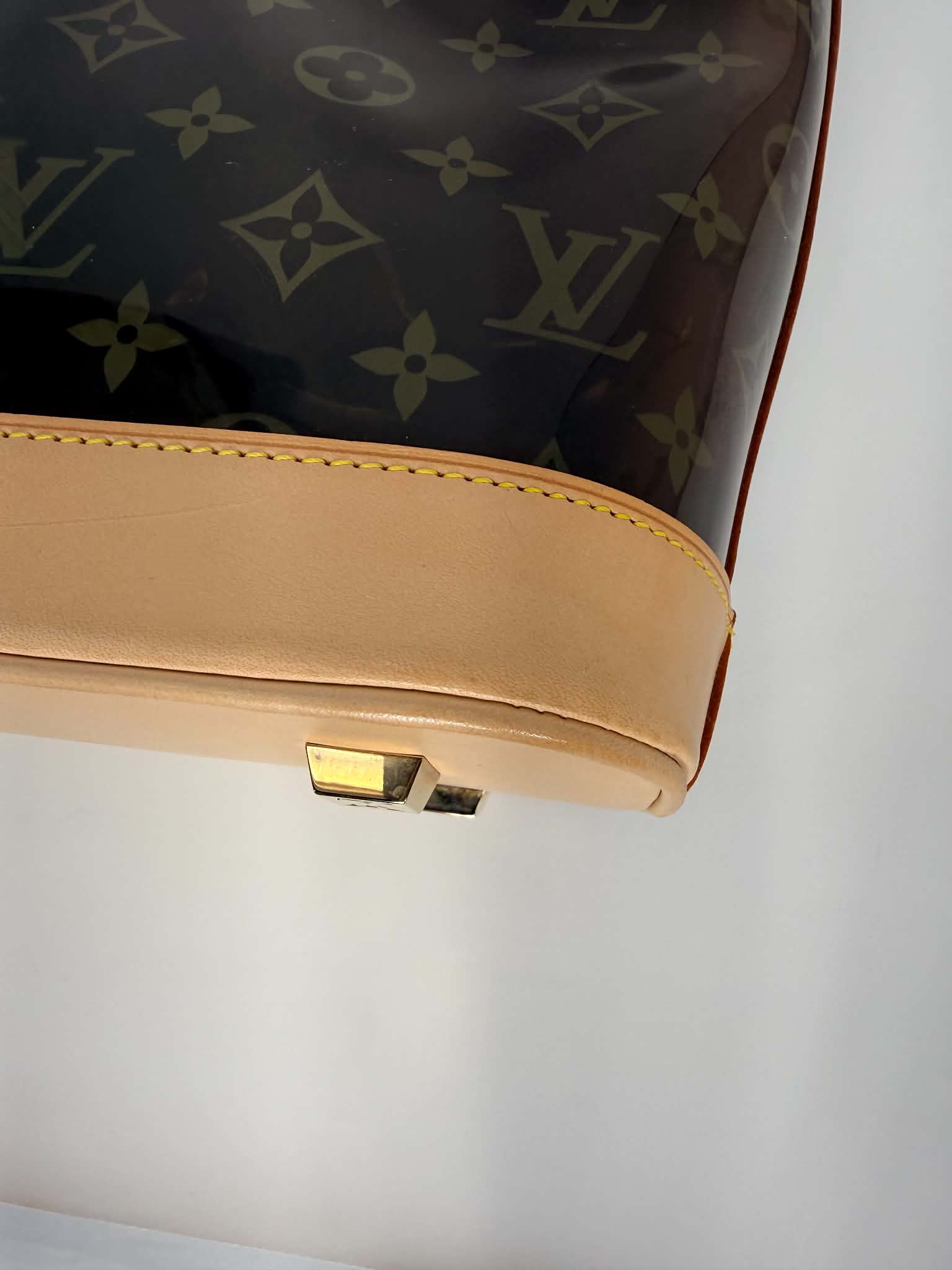 Louis Vuitton Vinyl Cabas Ambre MM